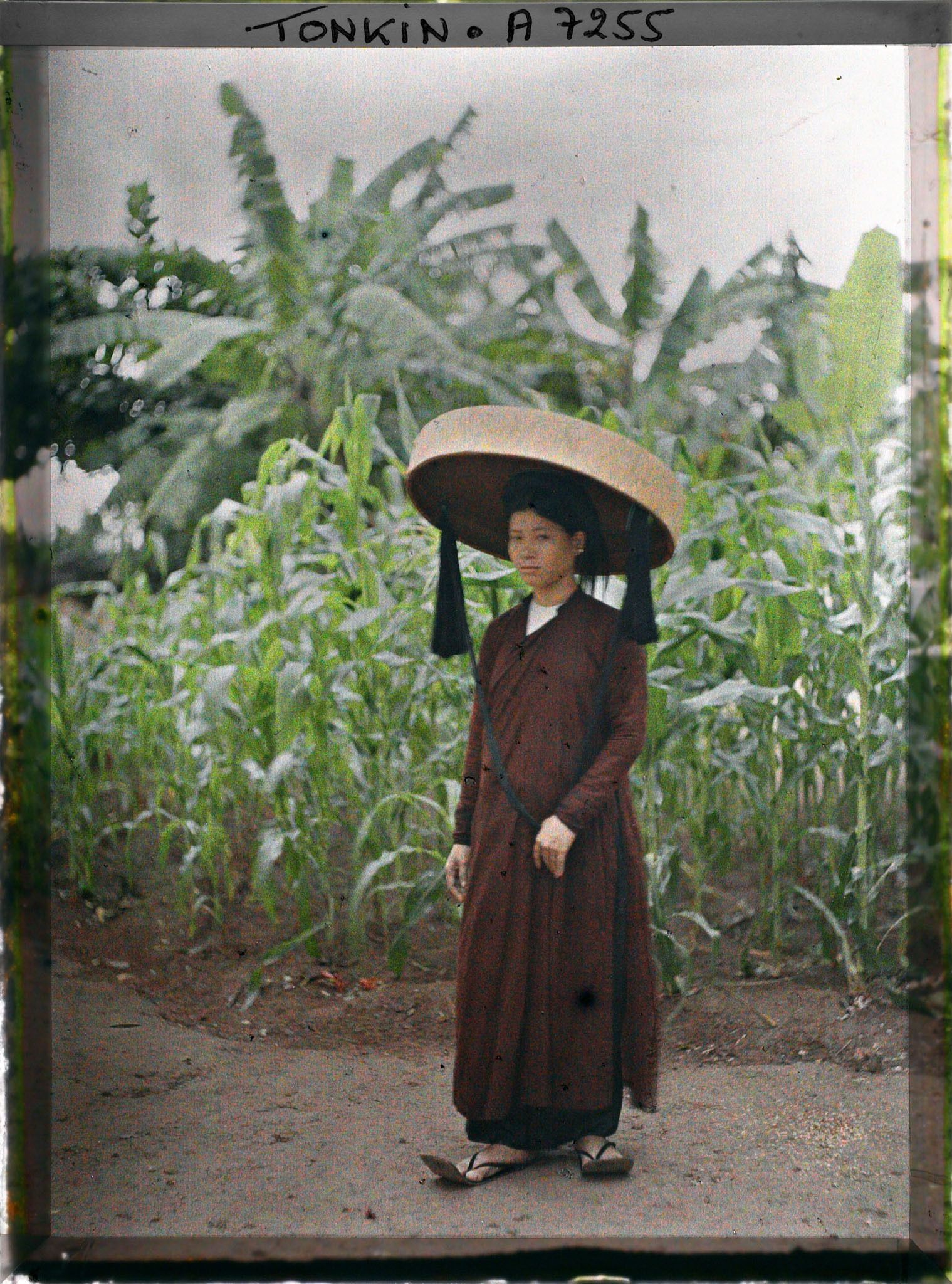 Image représentant Portrait d'une jeune femme de classe aisée, portant le grand chapeau en feuilles de latanier