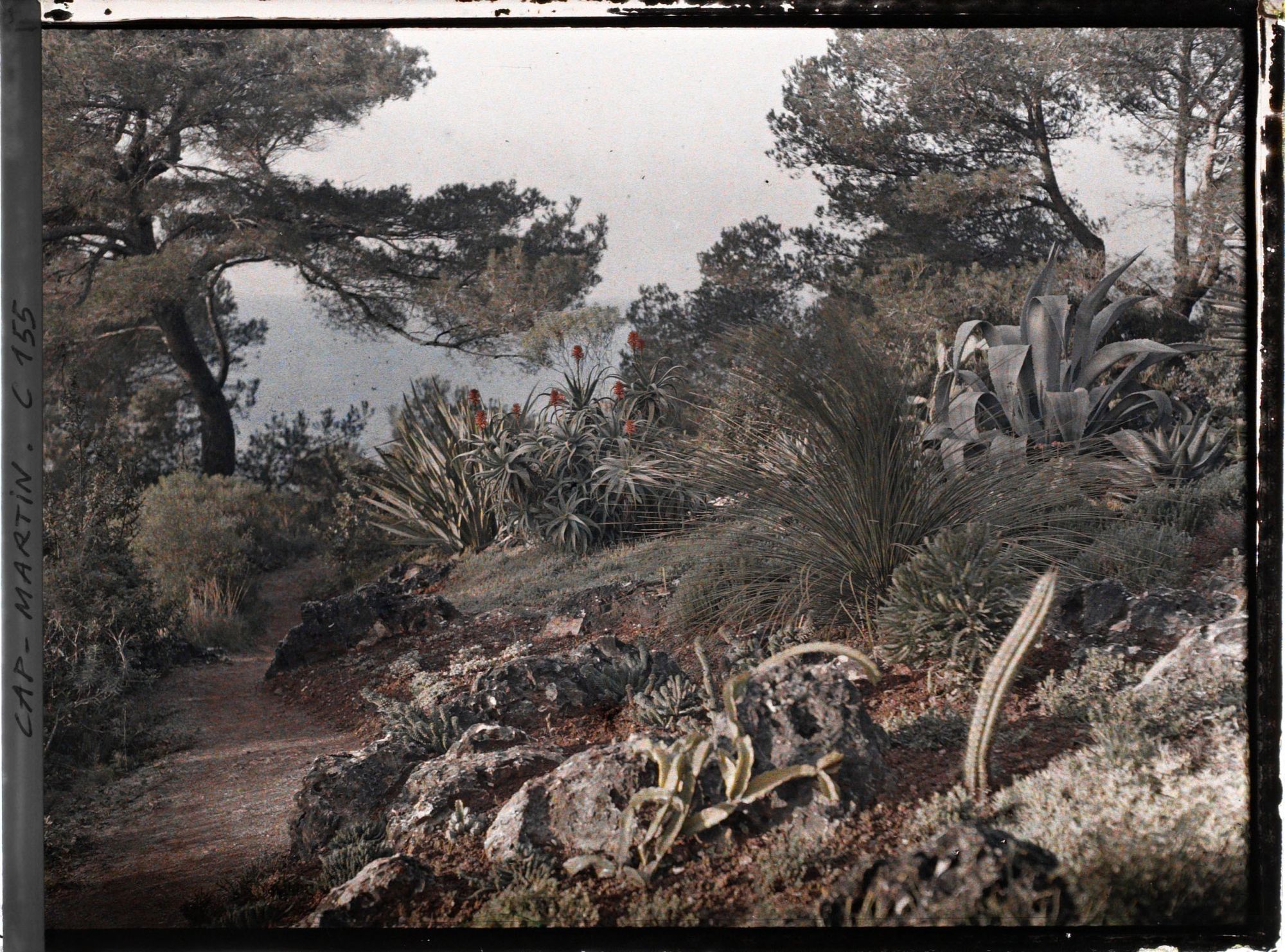 Image représentant Cap Martin - Le Jardin