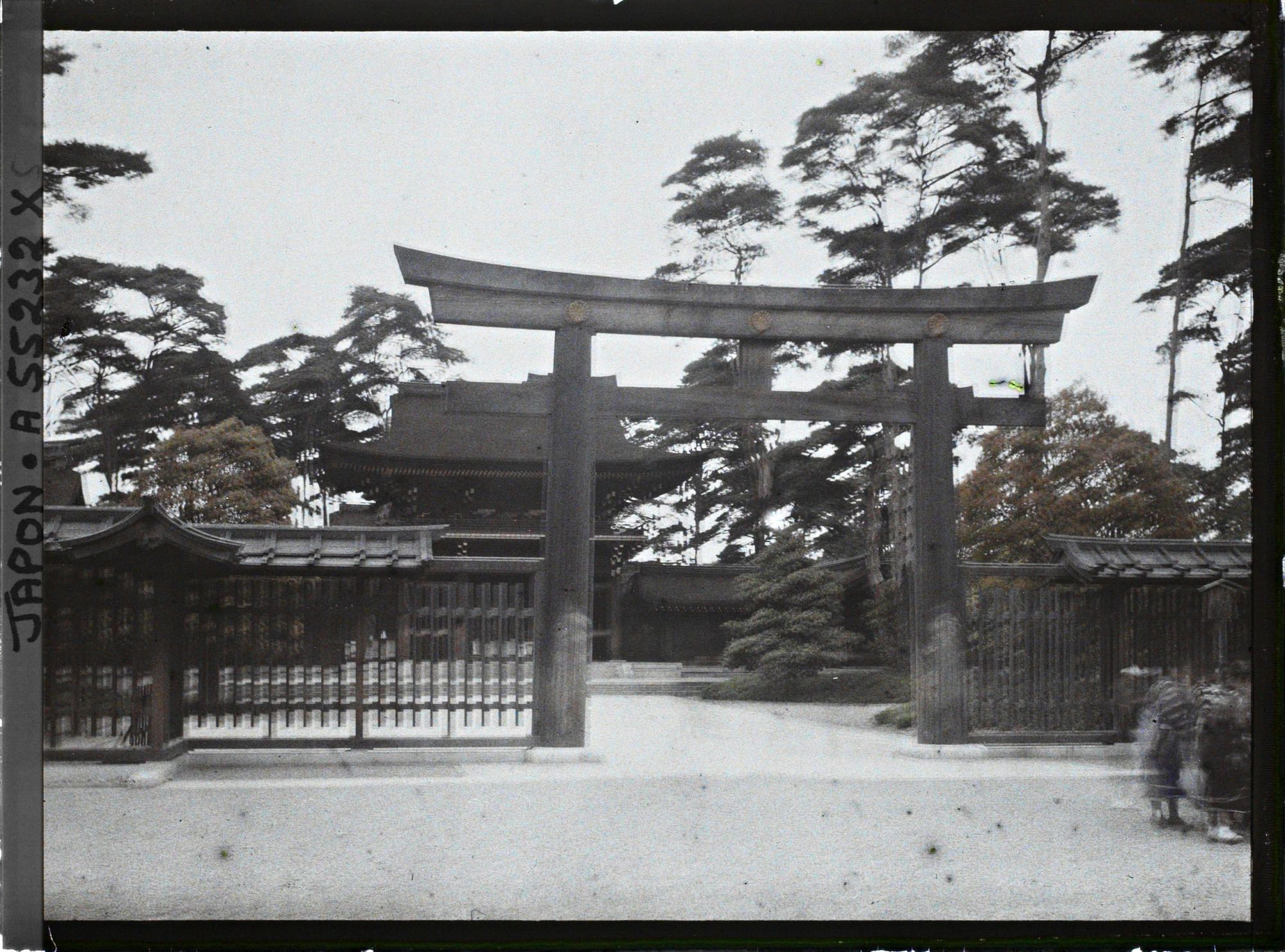 Image représentant Meiji-jingu (sanctuaire dédié à la mémoire de l'Empereur Meiji-tenno), torii et porte monumentale