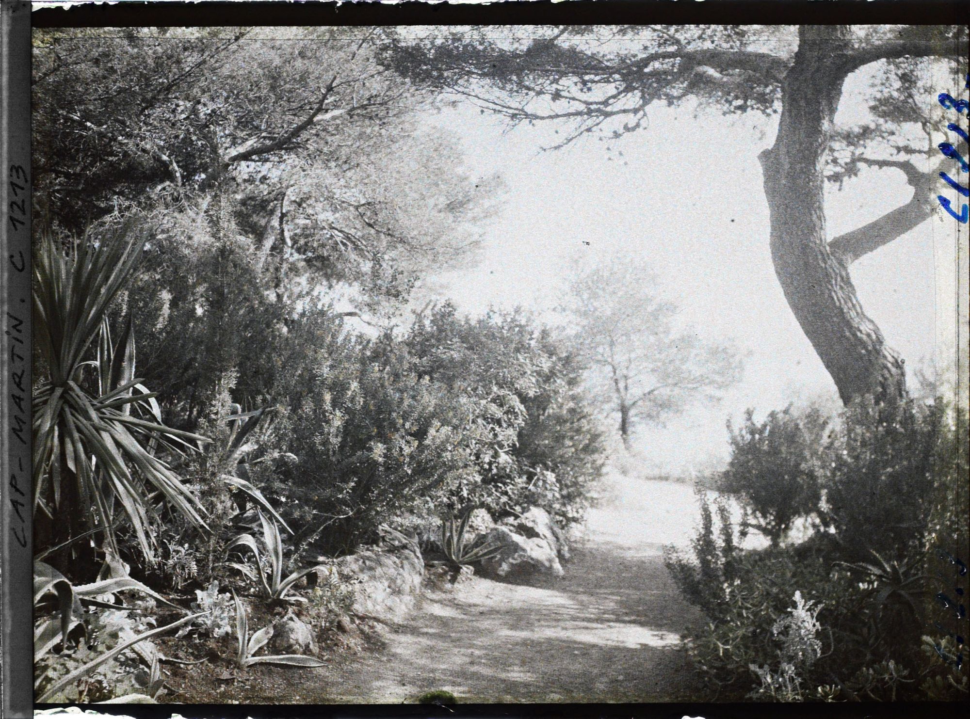 Image représentant le Jardin