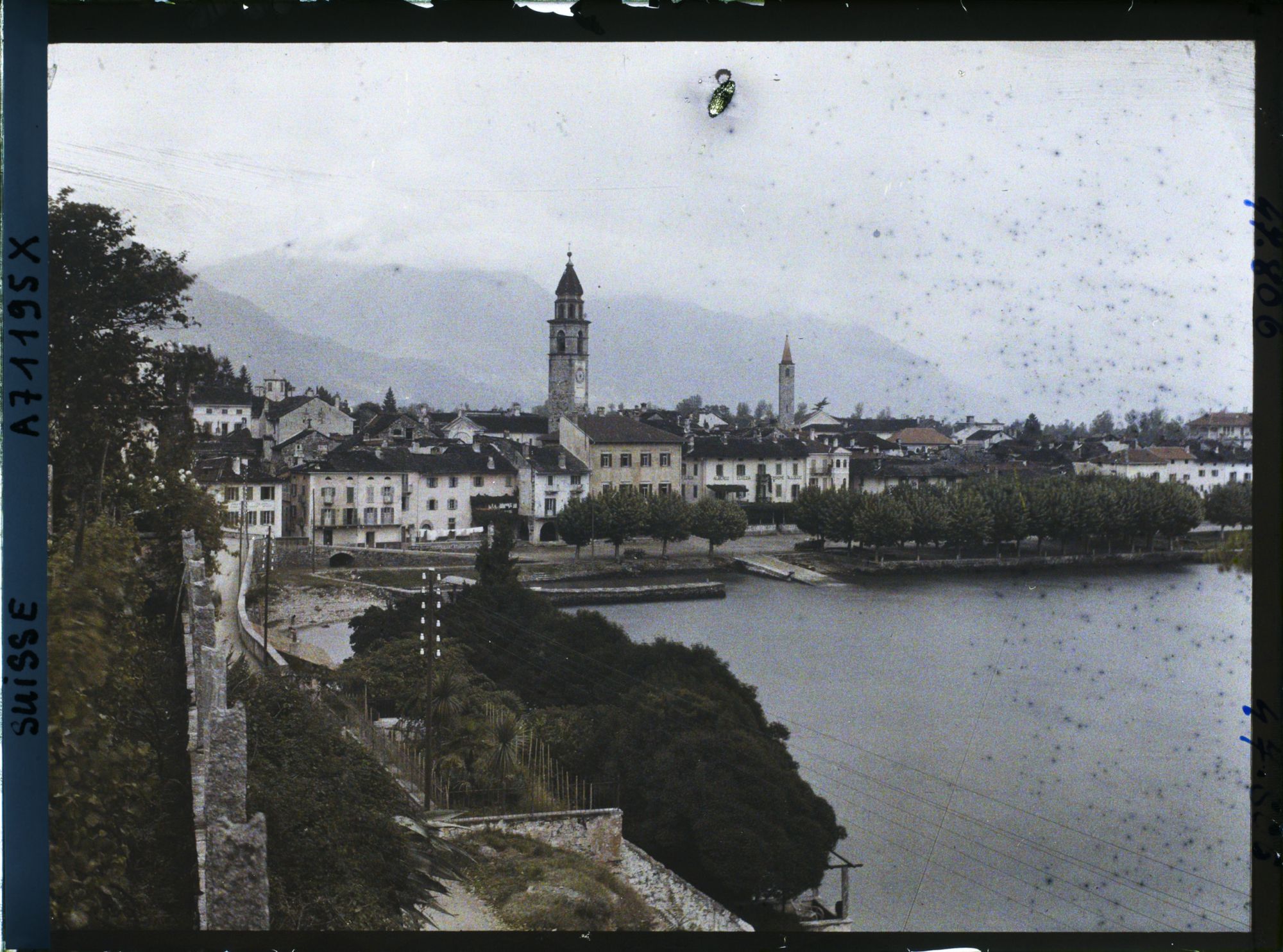 Image représentant Panorama sur Ascona et la lac Majeur