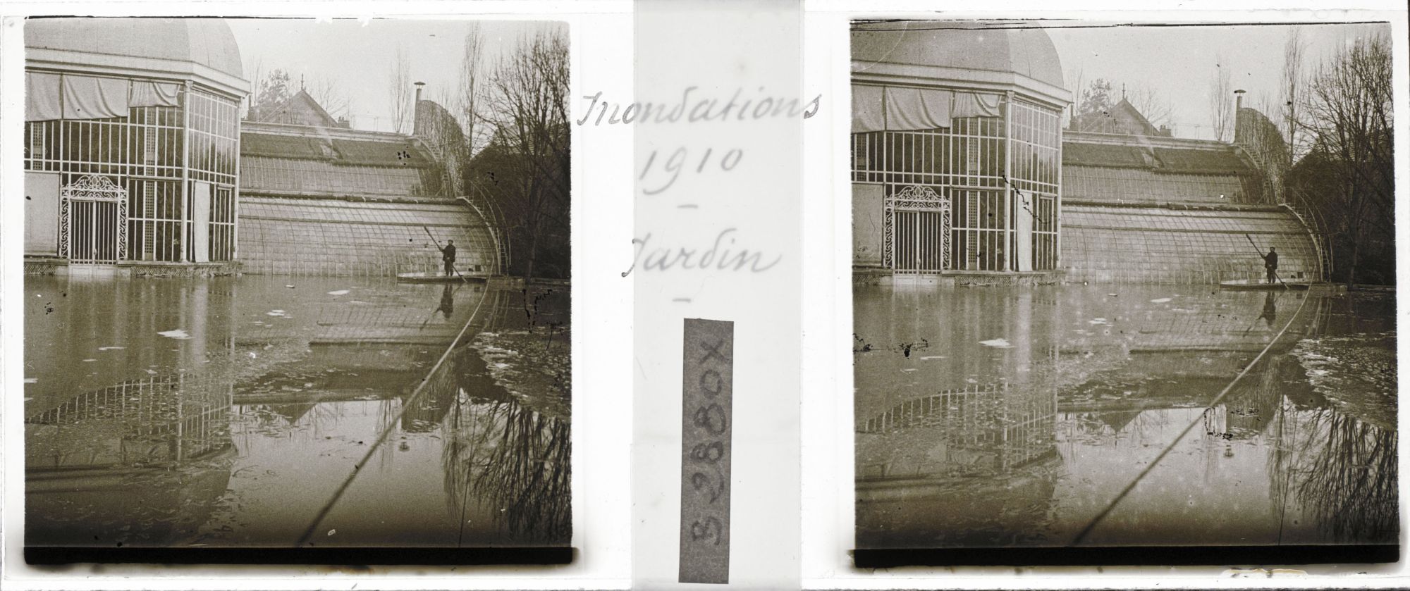 Image représentant Le palmarium et le jardin français lors de la crue