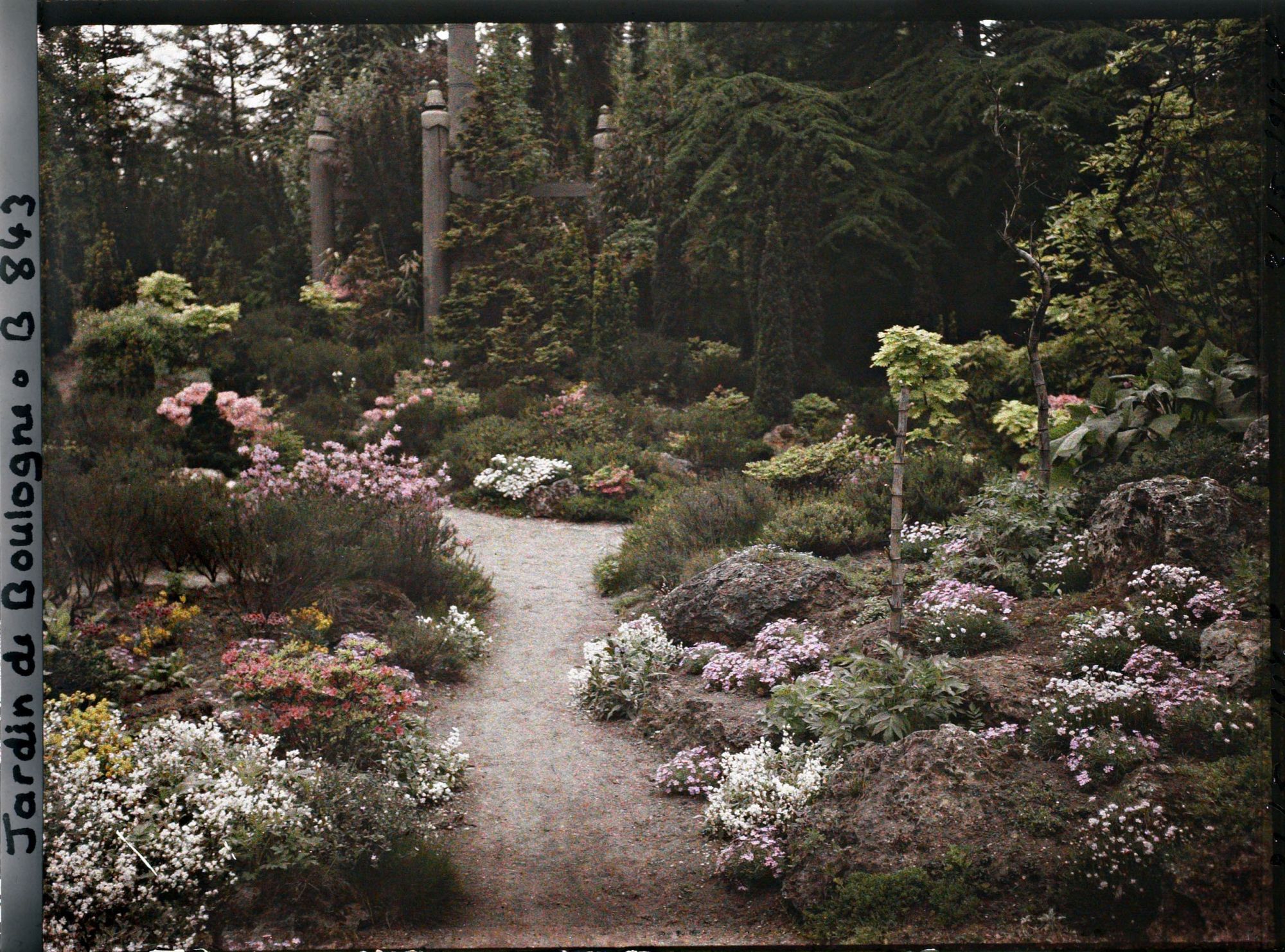 Image représentant Chemin du " sanctuaire japonais " menant au sorinto, bordé de rocailles, arbres et bambous