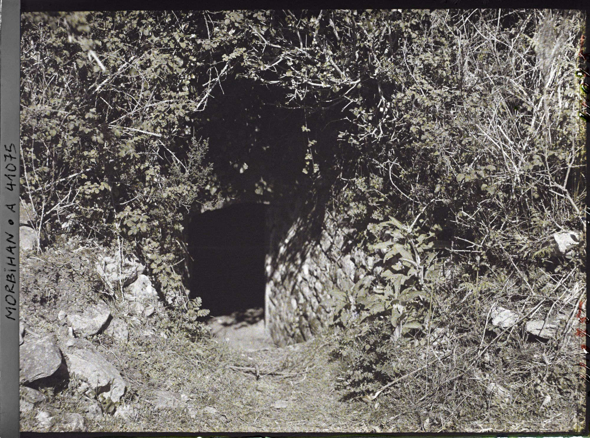 Image représentant L'entrée du tumulus de Gavrinis