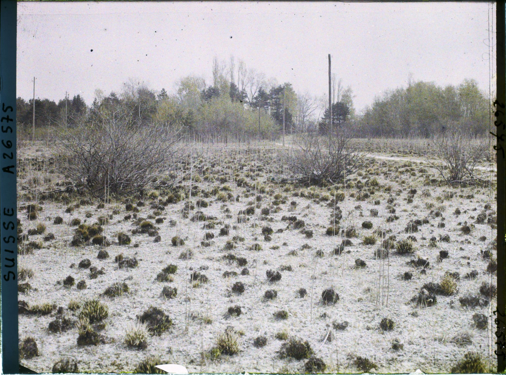 Image représentant L'île des lapins, voisine de l'île Saint-Pierre