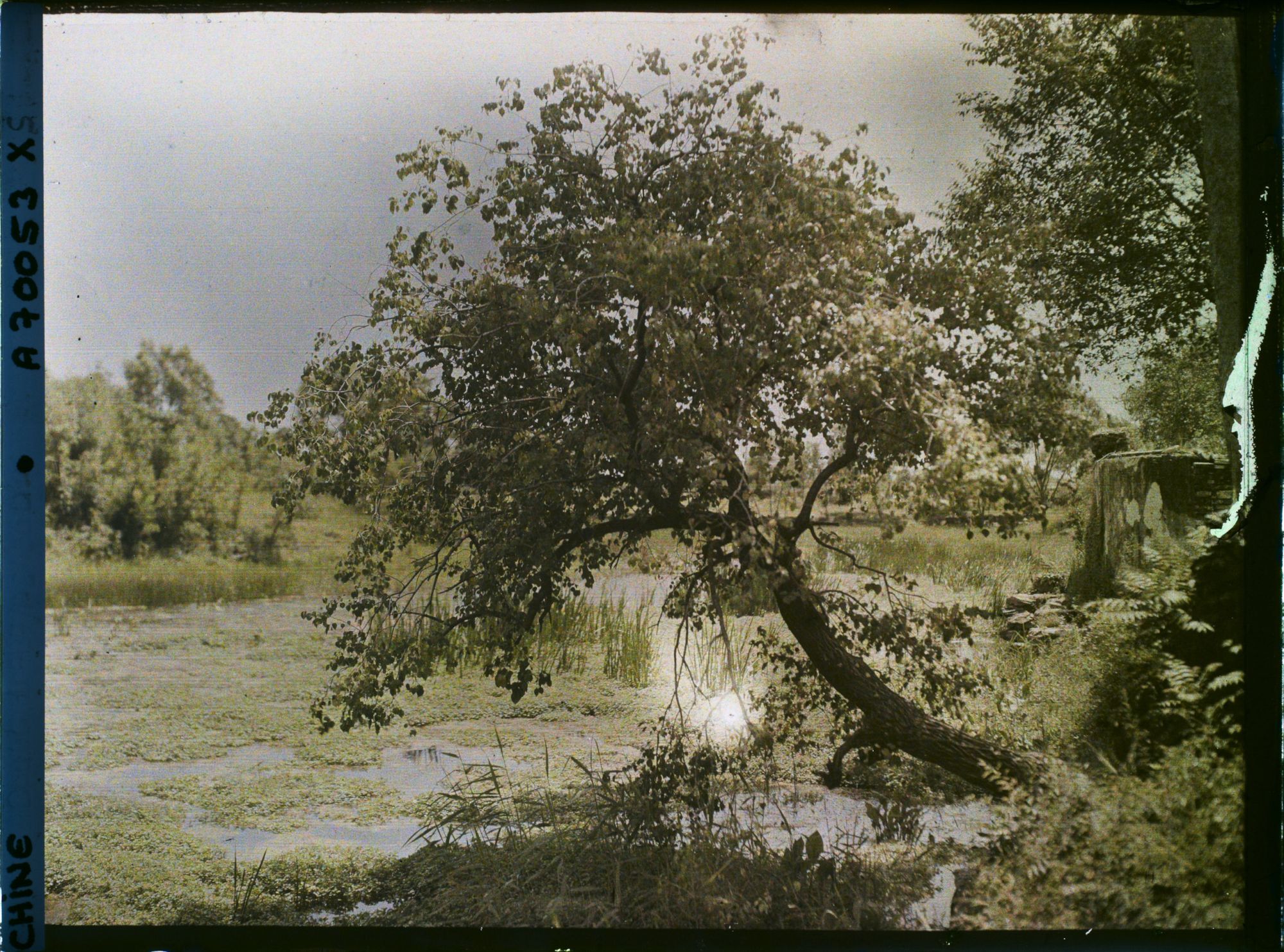 Image représentant Probablement aux environs ouest de Beijing