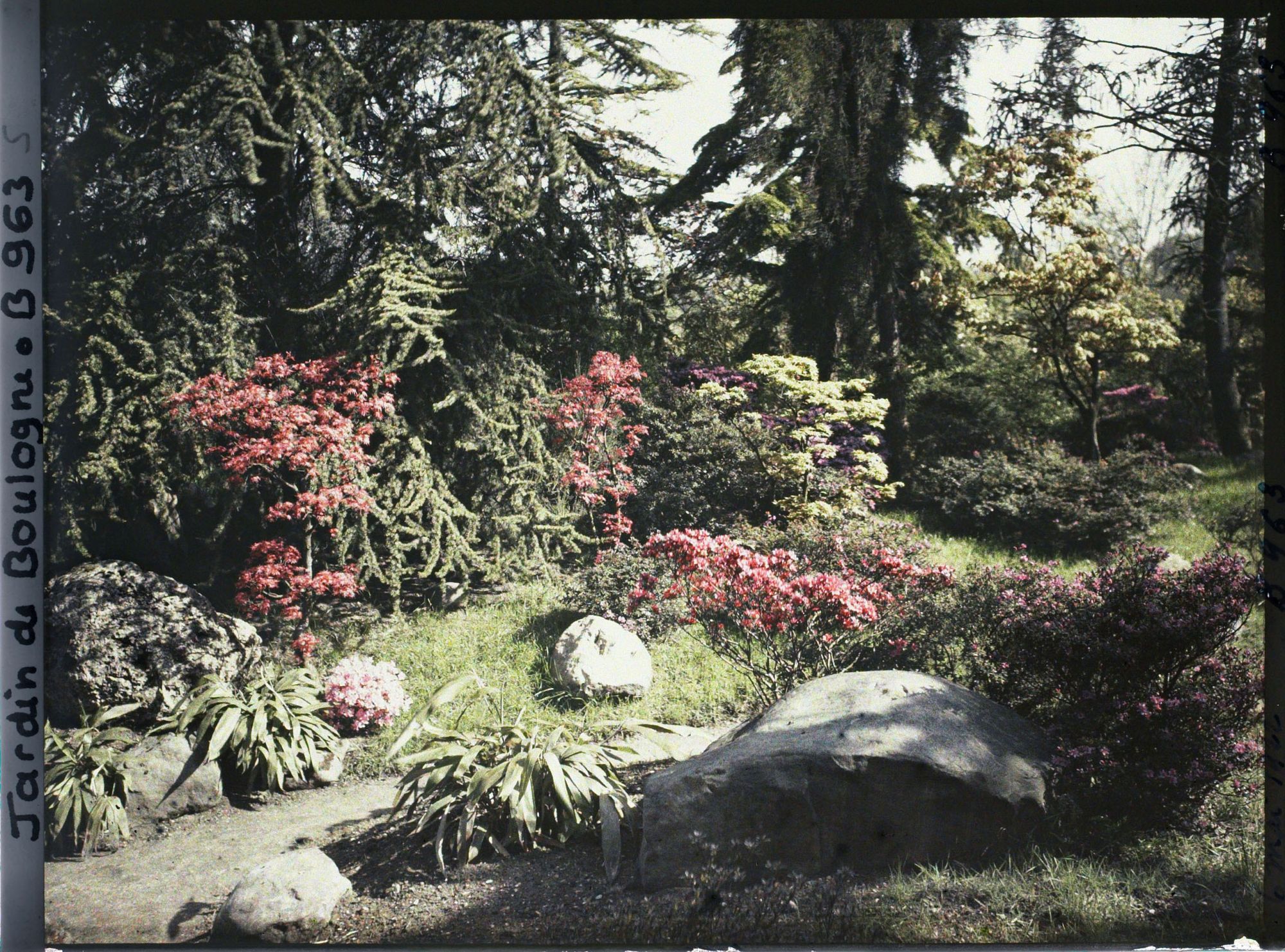 Image représentant Pierres, azalées et érables rougeoyants, situés à l'entrée du " sanctuaire japonais "