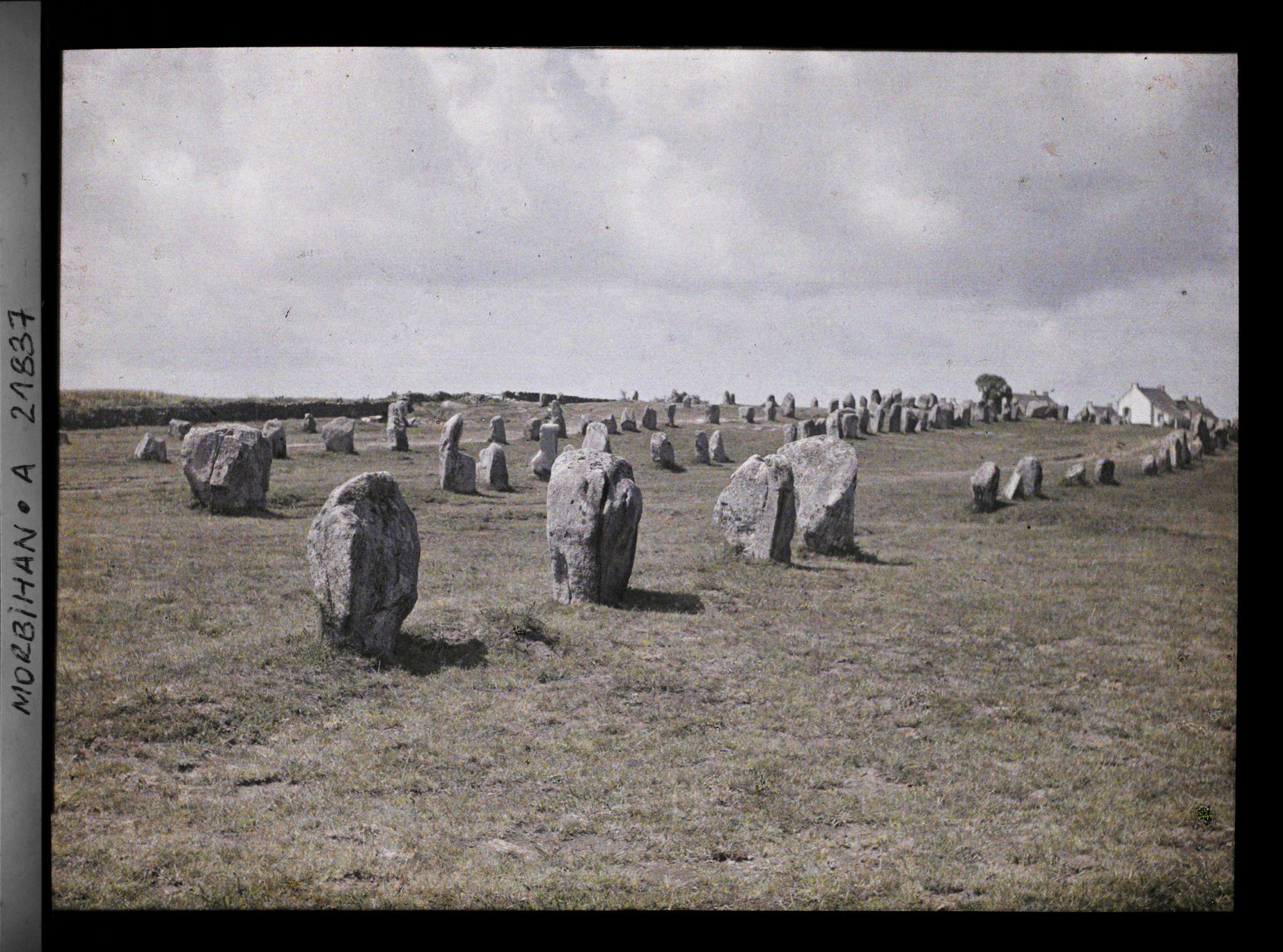 Image représentant Alignements du Ménec