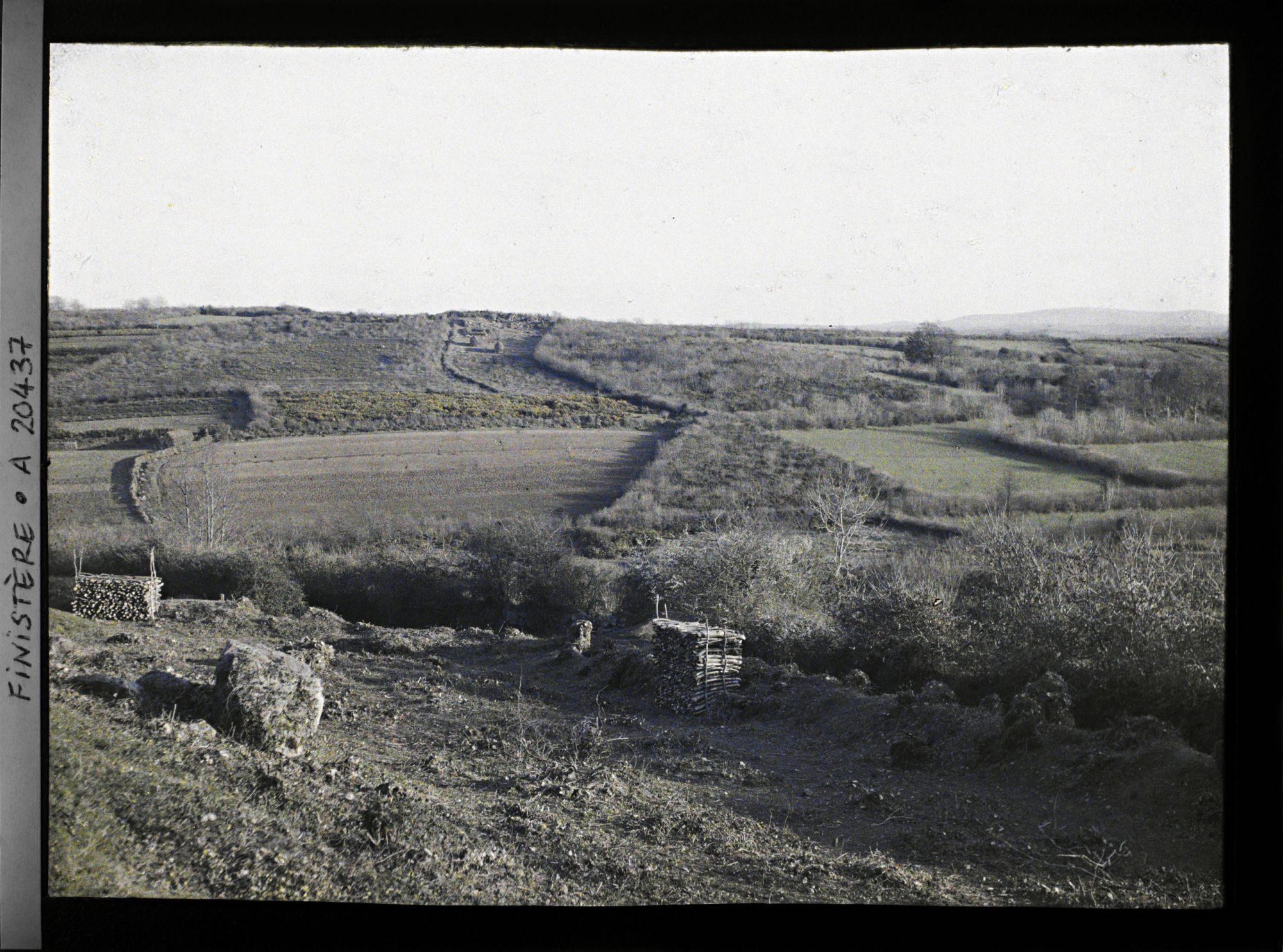 Image représentant Paysage de bocage