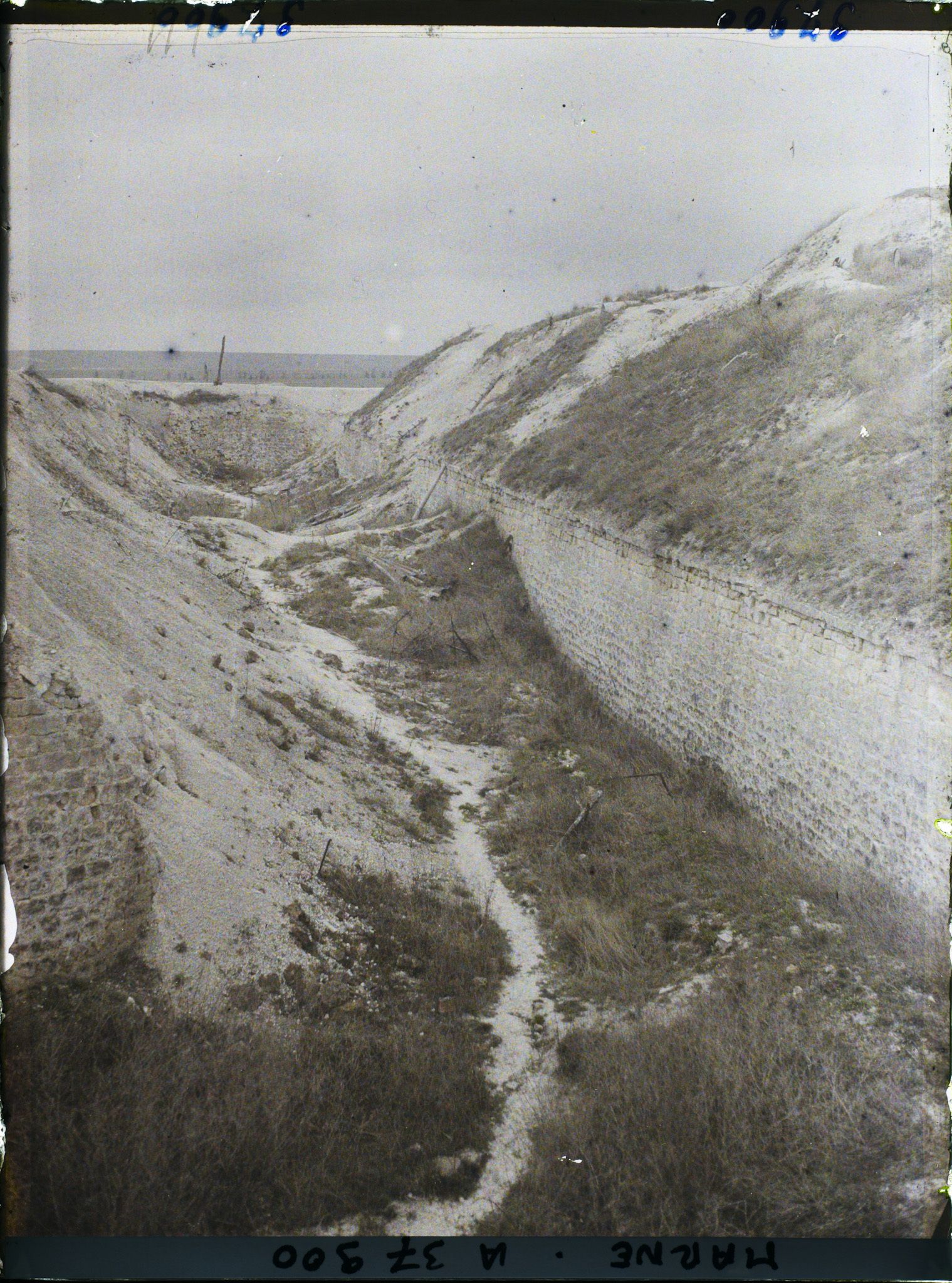 Image représentant France, La Pompelle, Courtine Sud
