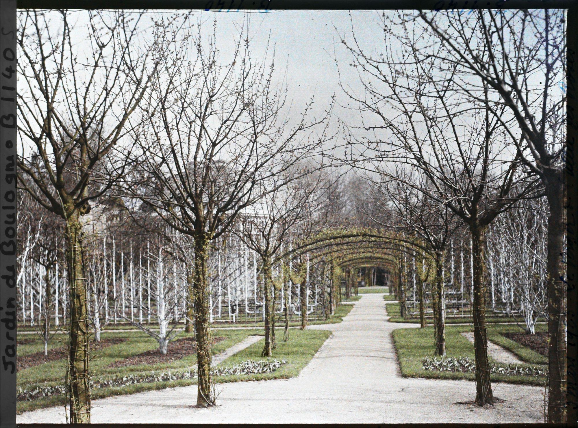 Image représentant Axe central du verger-roseraie vu en direction du jardin anglais depuis le rond-point côté dépendance
