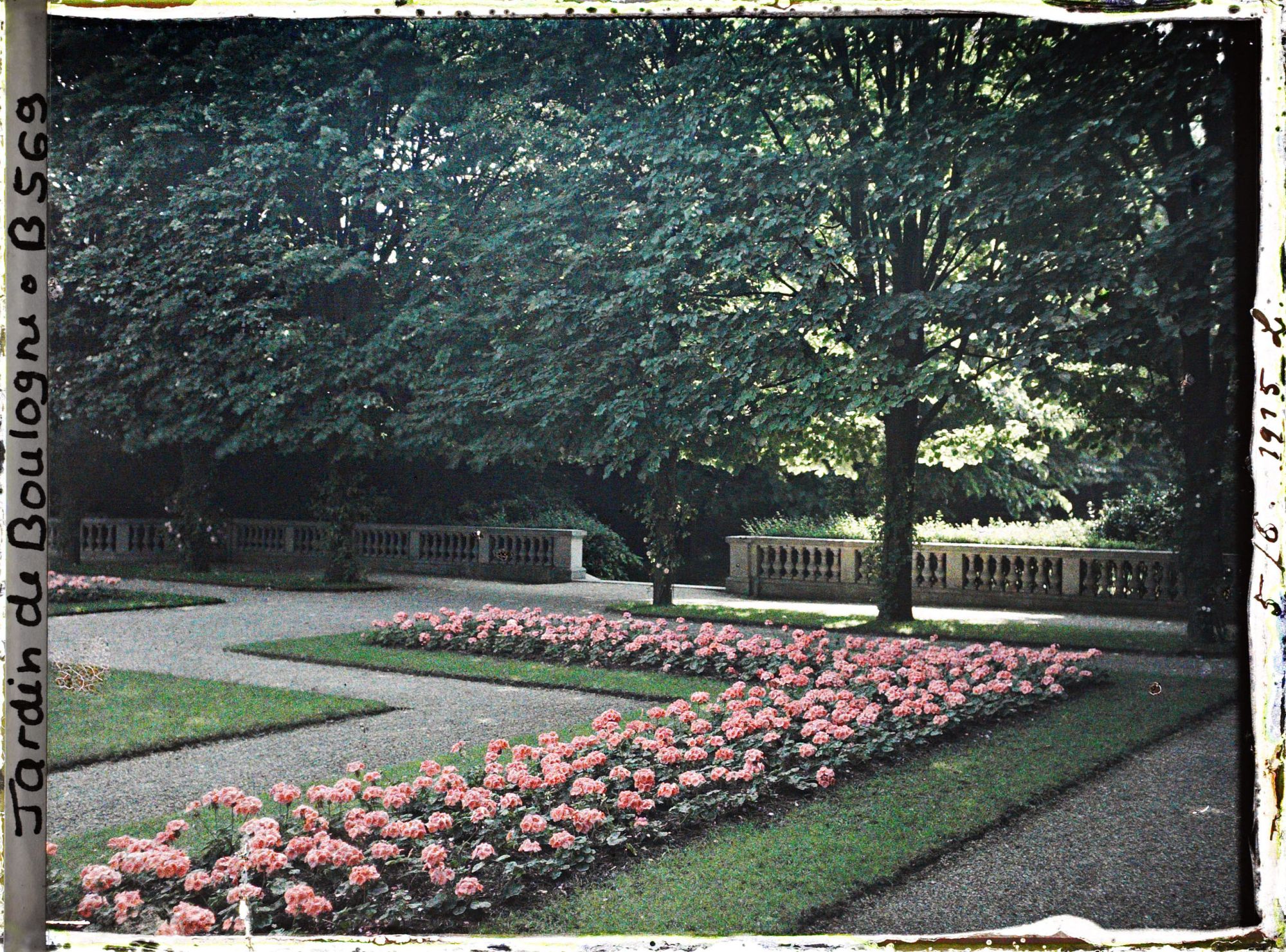 Image représentant Partie sud-est du jardin français, côté jardin anglais