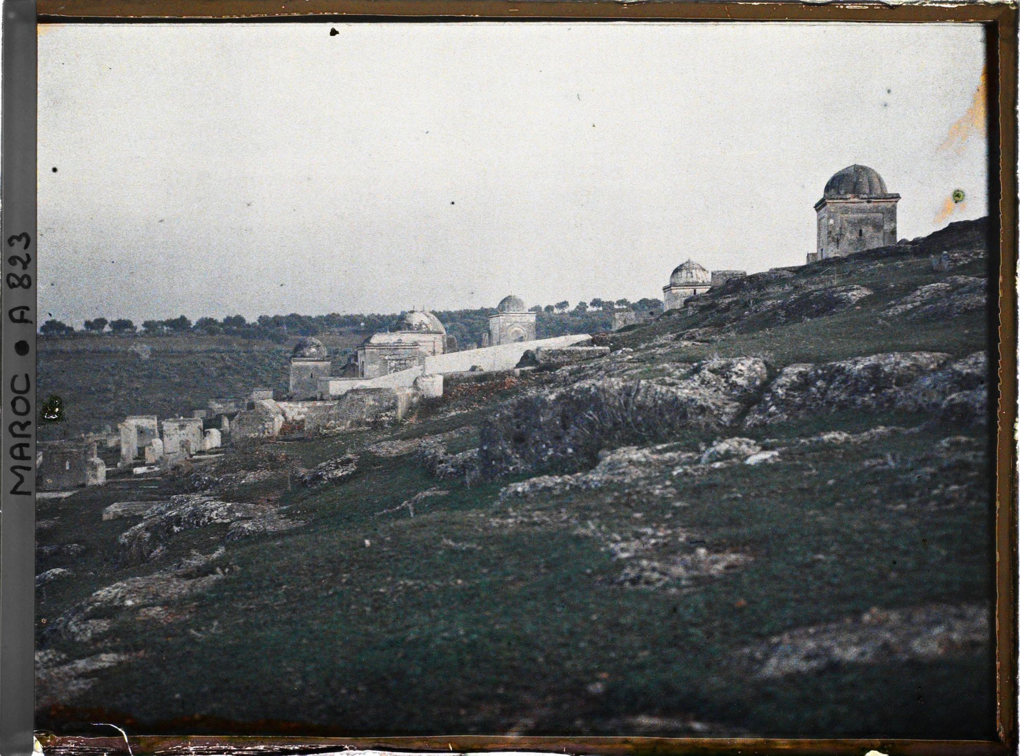 Image représentant Cimetière de Bâb Ftouh