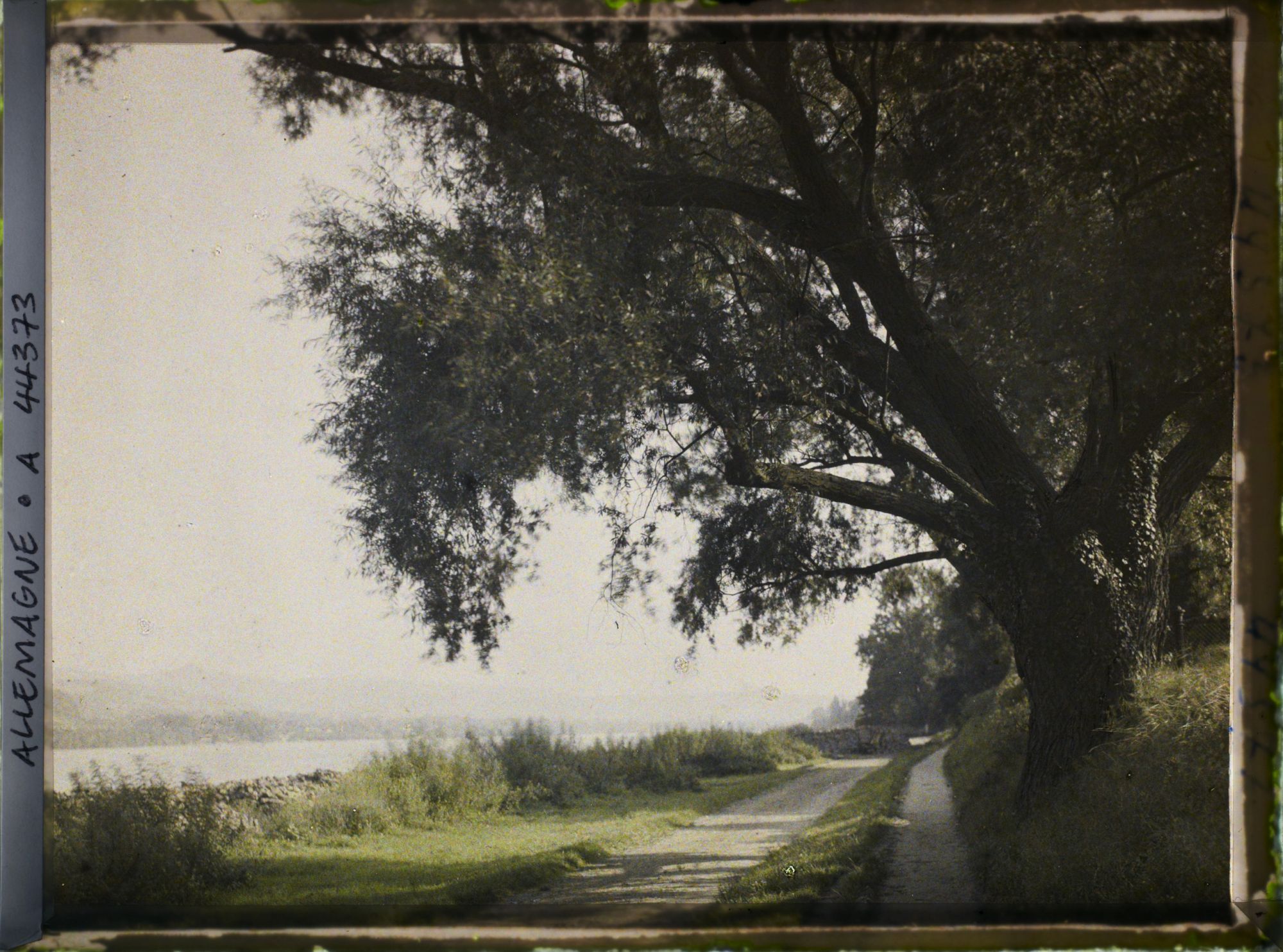 Image représentant Allemagne, Mehlem, Paysage le long du Rhin