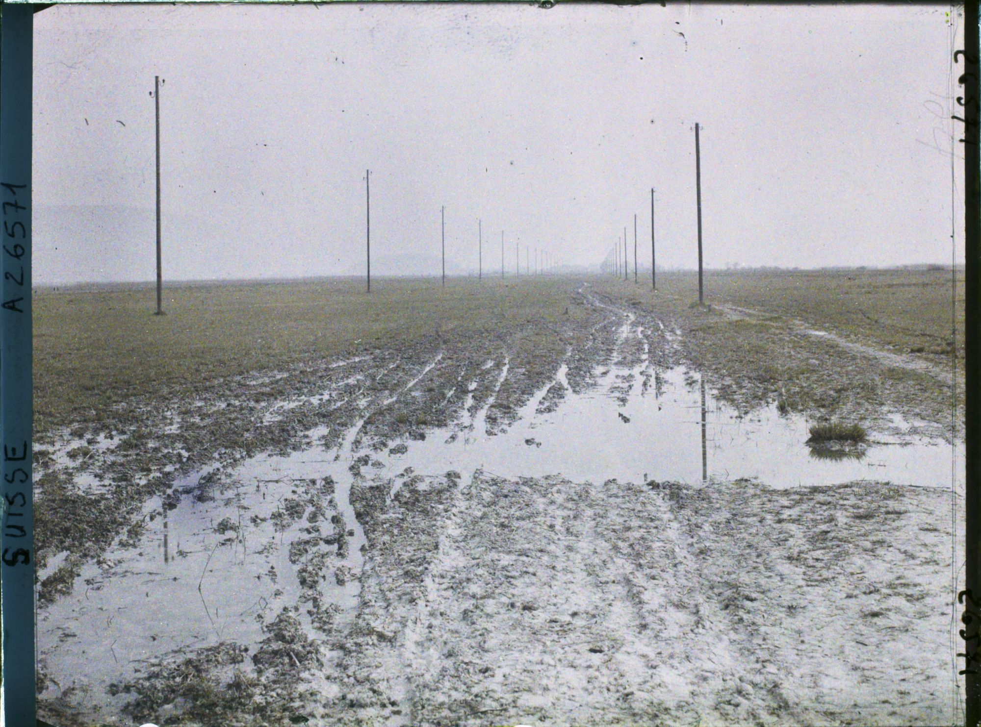 Image représentant La route de l'île Saint-Pierre, à 5 minutes de Cerlier