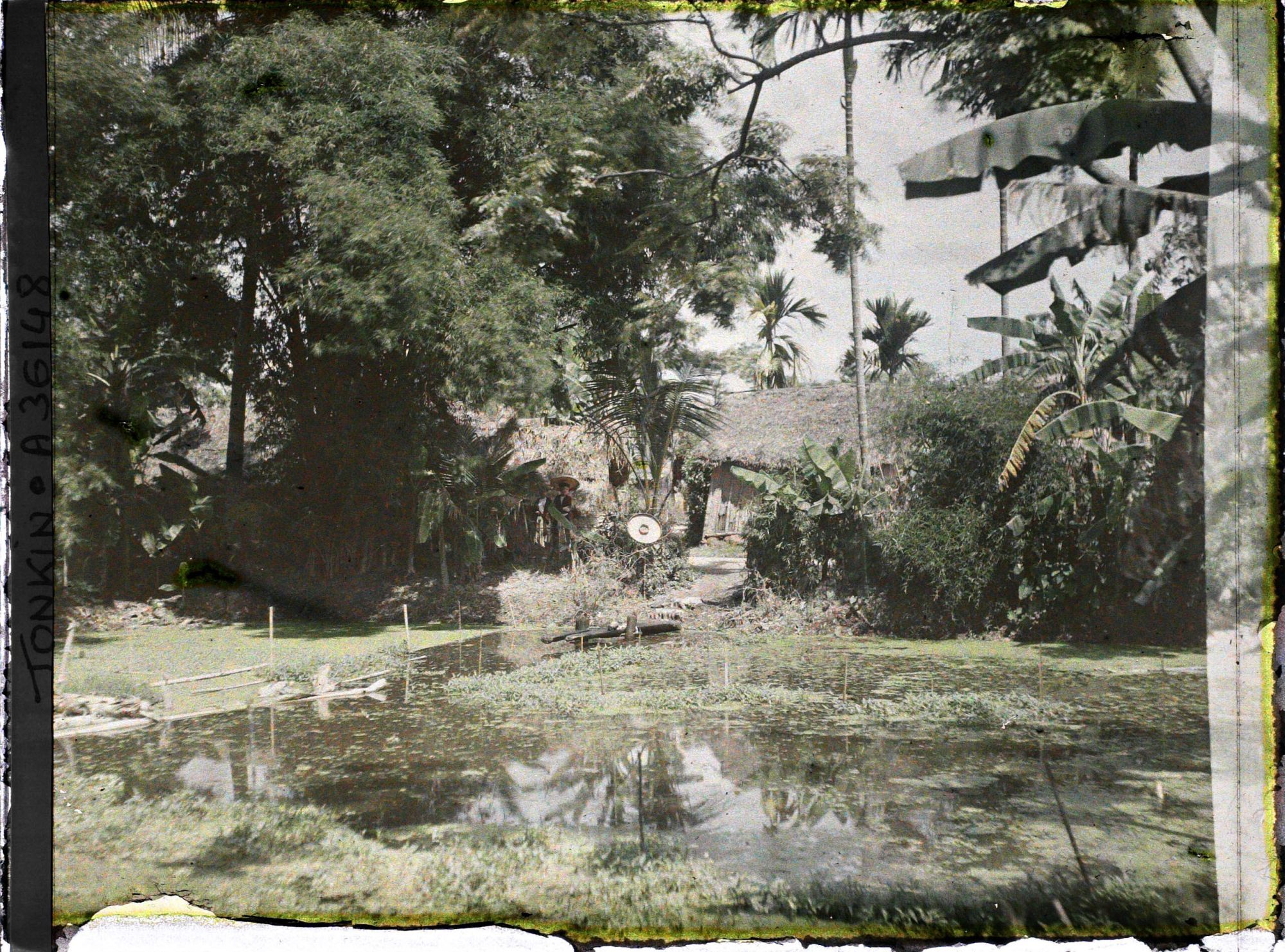 Image représentant Au bord d'une mare dans un village