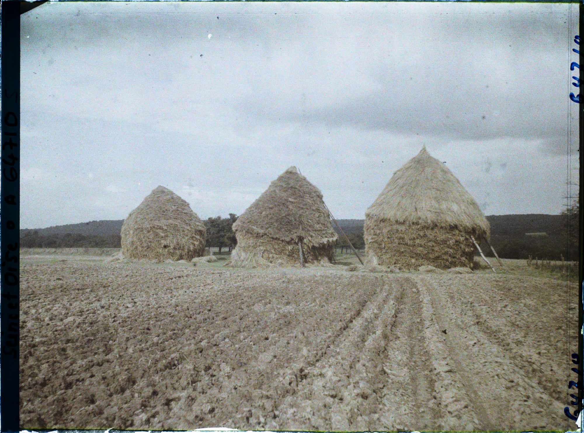 Image représentant Ile de France, Mafliers, Meules de blé et labourage de la terre