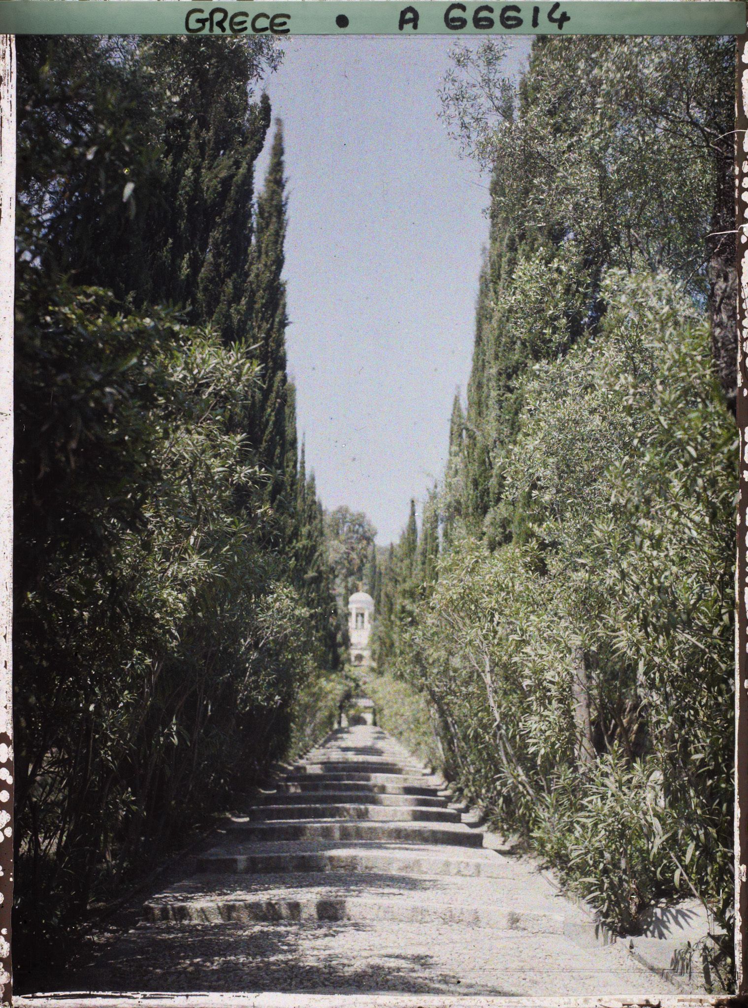 Image représentant L'Achilleion - Les Jardins