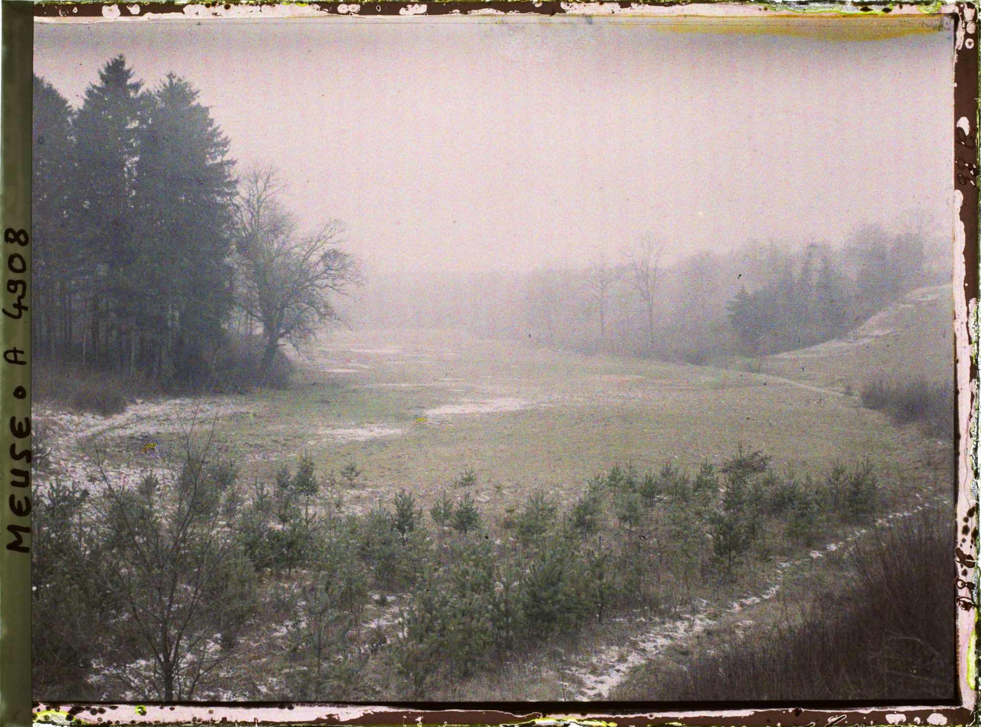 Image représentant France, Le Bar le Duc à Révigny, Sur la route de Bar le Duc à Révigny. Un fond marécageux et forêts (fin de l'Argonne)
