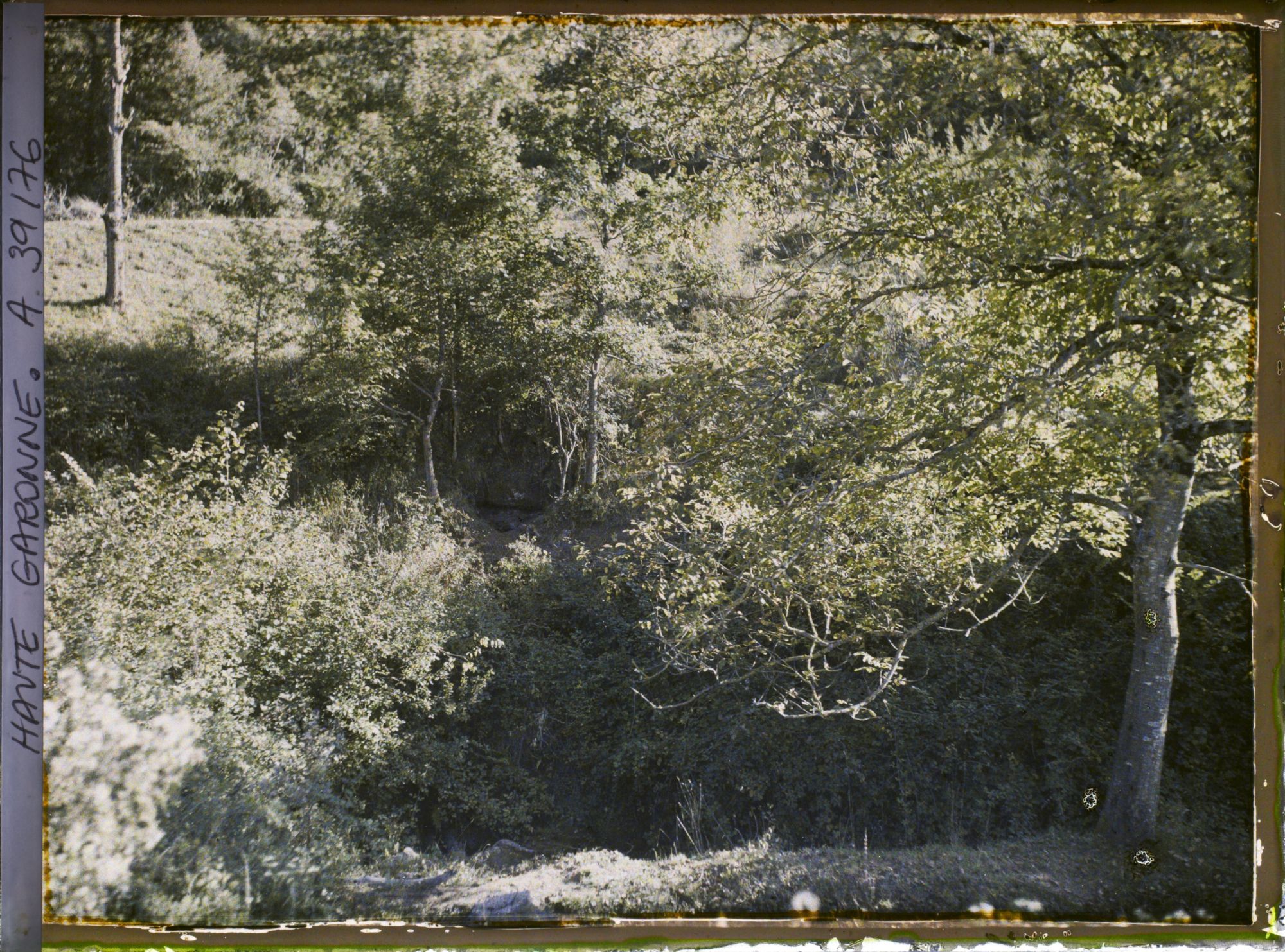 Image représentant L'entrée de la grotte