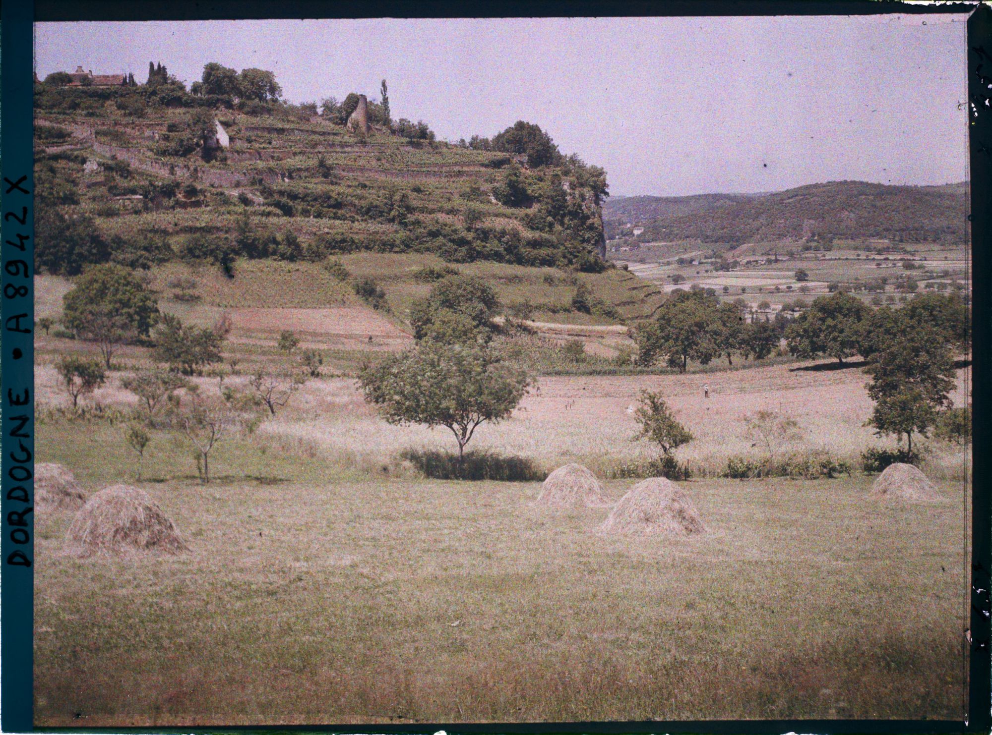 Image représentant France, Domme, Domme et la vallée