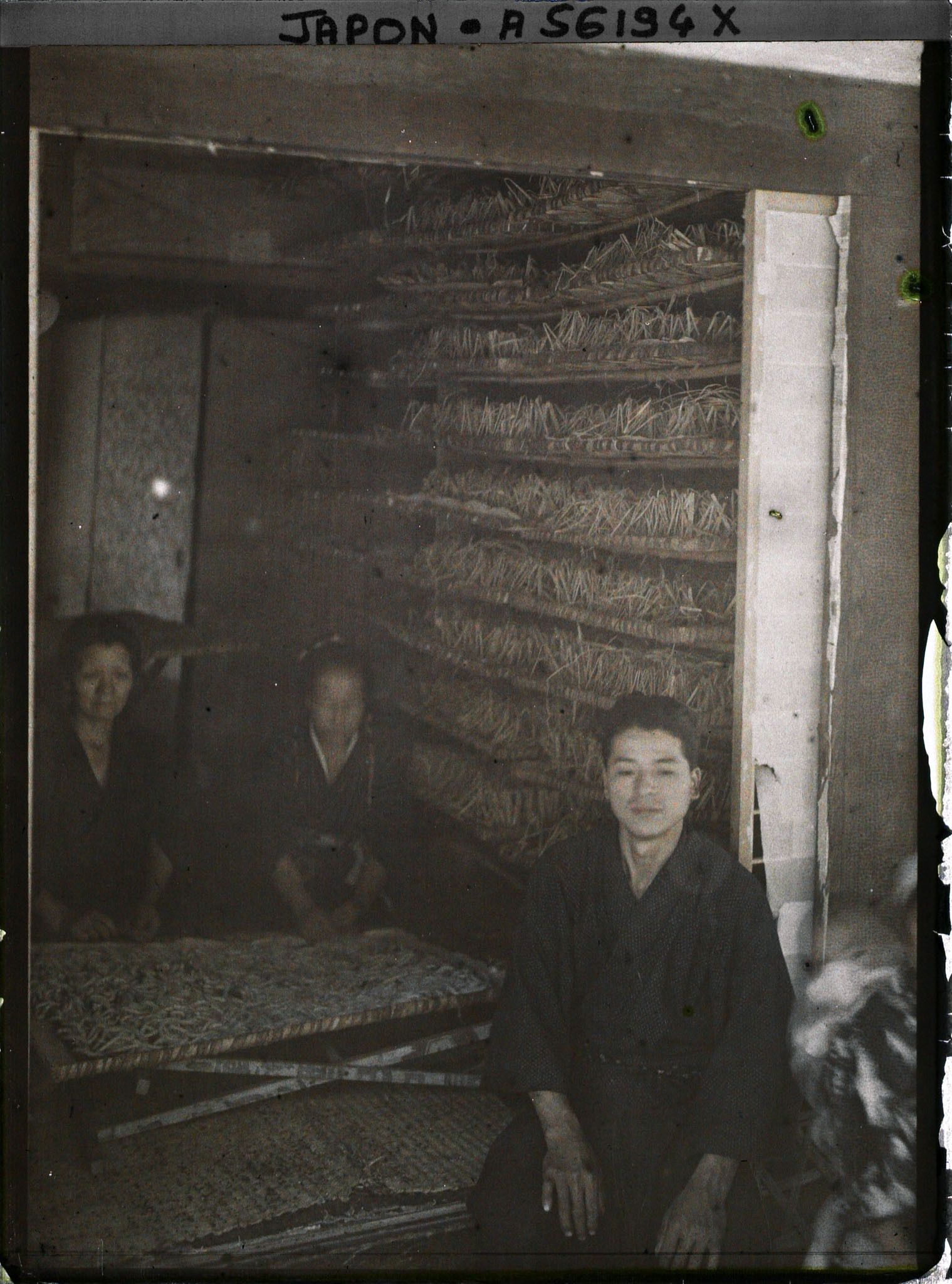 Image représentant Femmes occupées à l'élevage du ver à soie