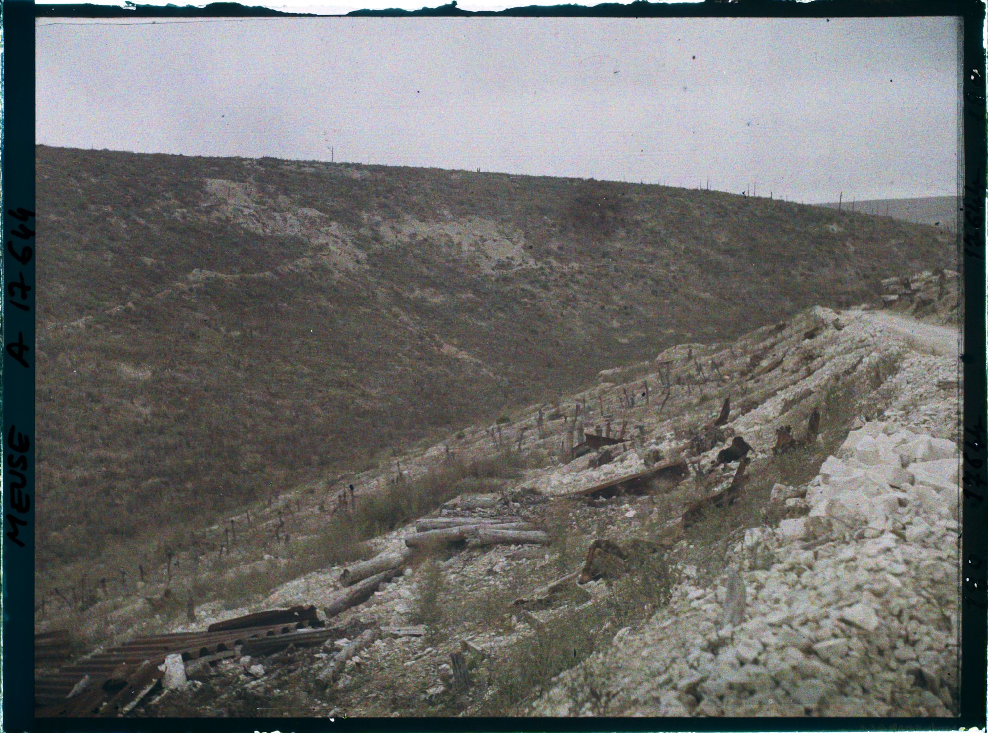 Image représentant France, Haudromont, Ravin sur la route de Douaumont vers la côte du Poivre