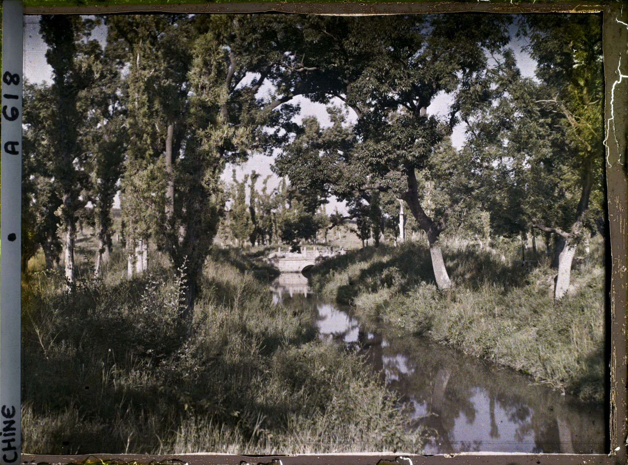 Image représentant Konglin, la nécropole de la famille de Confucius