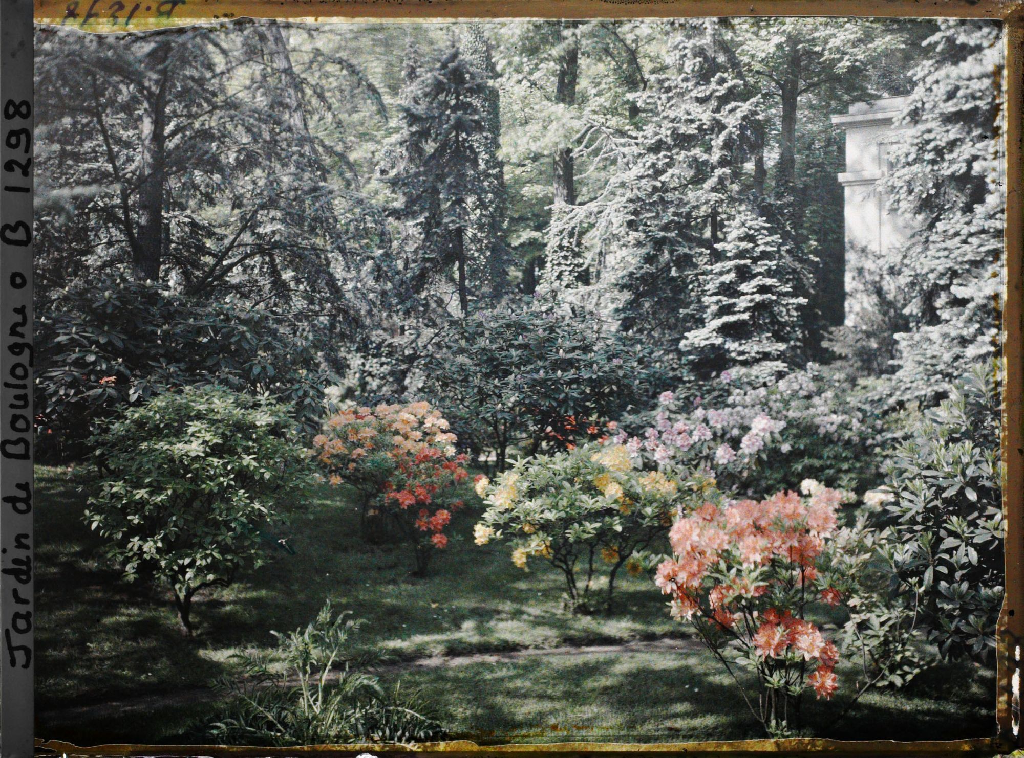 Image représentant Rhodos et azalées près du laboratoire