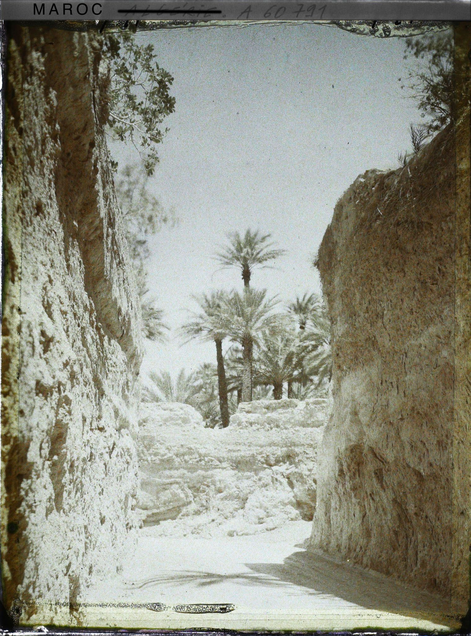 Image représentant Entrée de la palmeraie par la route de Beni-Ounif