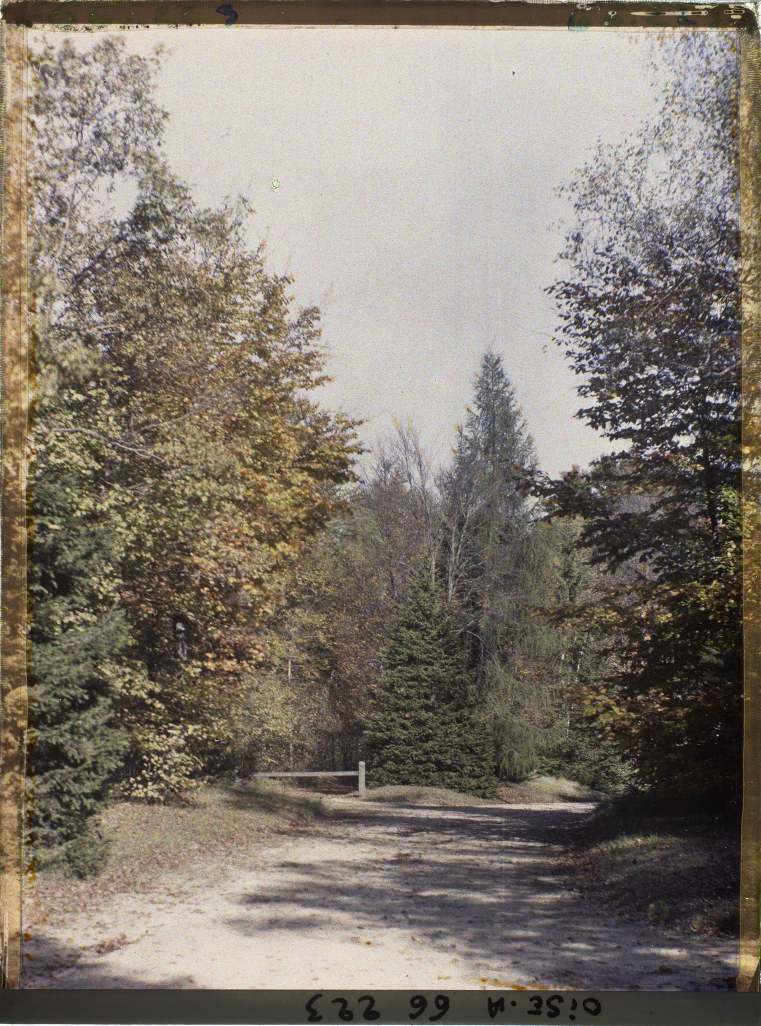 Image représentant Une allée du parc du château des Fontaines