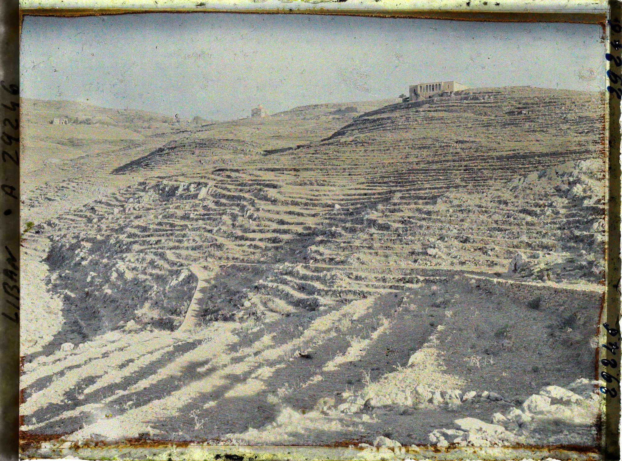 Image représentant Cultures en terrasse