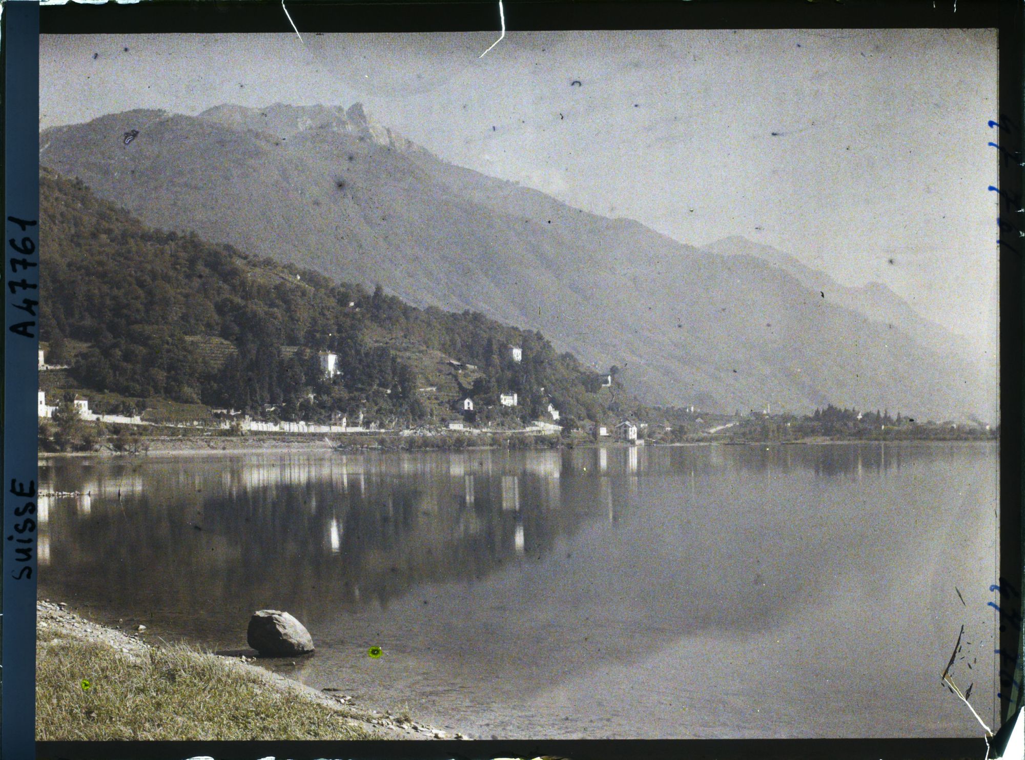 Image représentant Les rives du lac Majeur du côté de Tenero