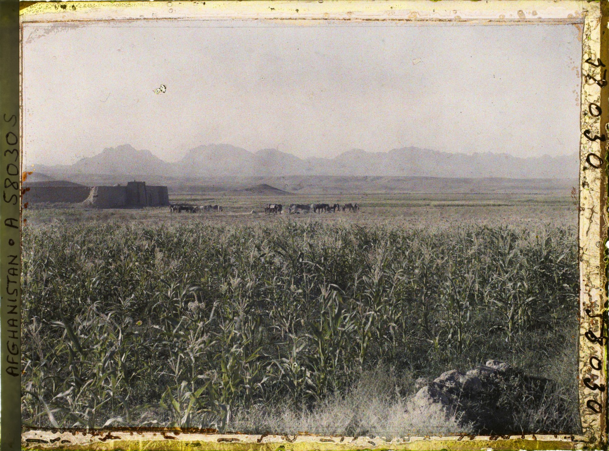 Image représentant Vue vers Le caravansérail