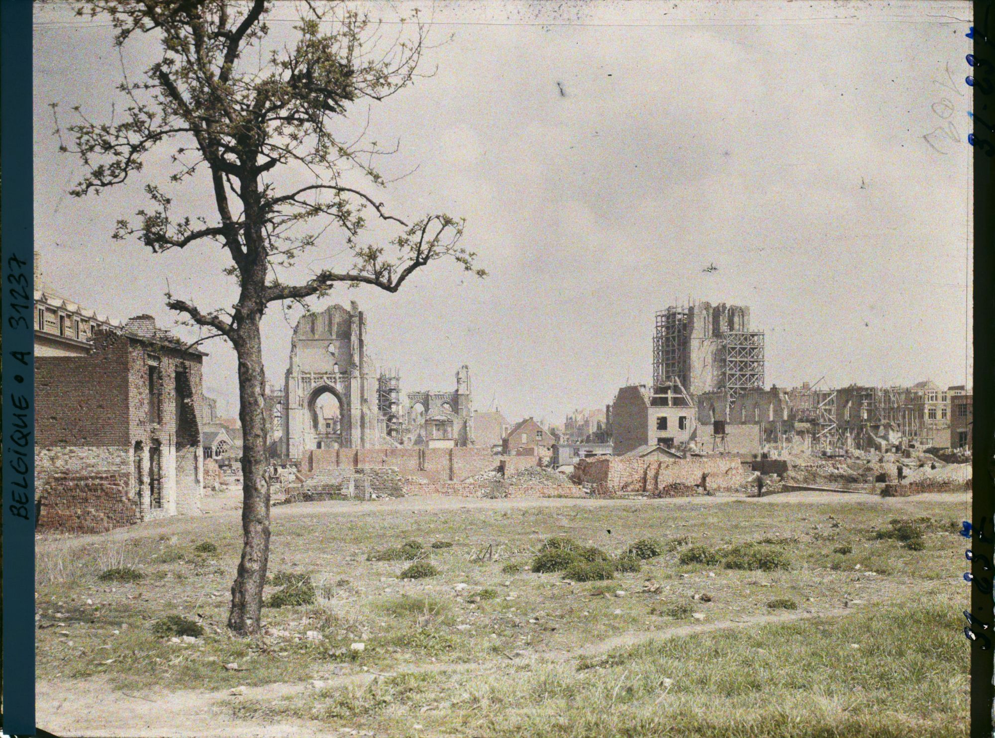 Image représentant Belgique, Ypres, Vue générale des ruines des Halles et de la Cathédrale St Martin