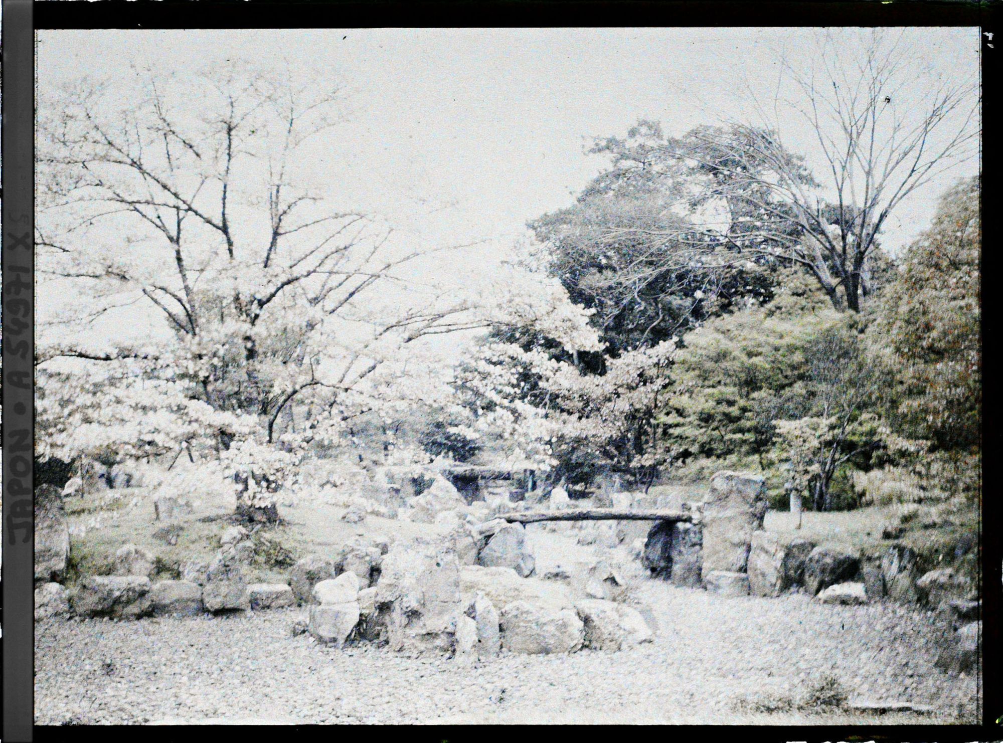 Image représentant Palais Nijô-jô : jardin du Ni-no-Maru