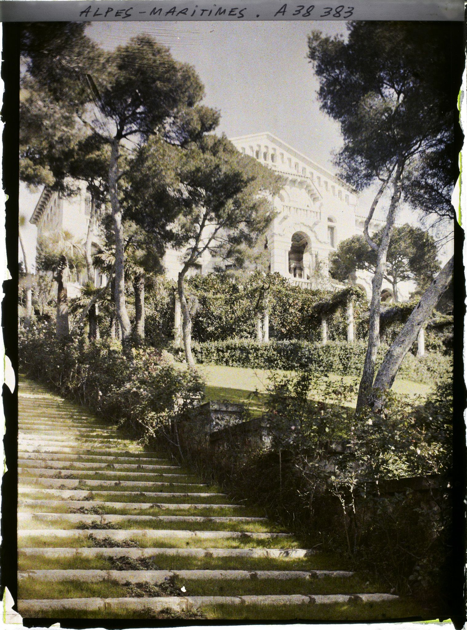 Image représentant La villa Cypris se dressant en haut du jardin et vue depuis son grand escalier