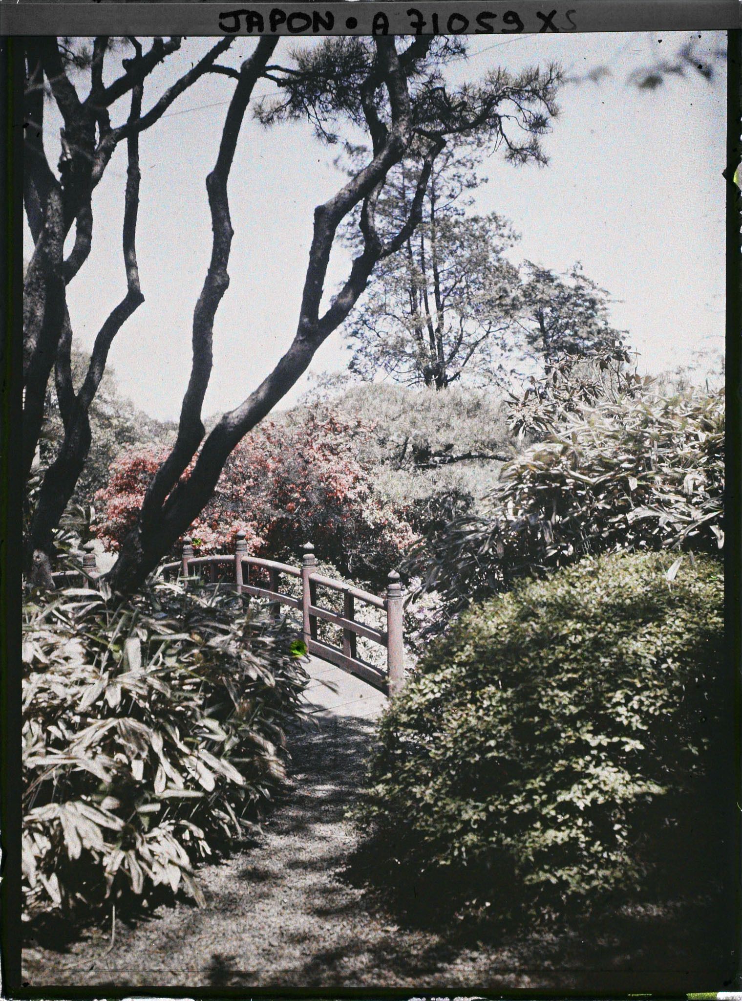 Image représentant Jardin d'une résidence