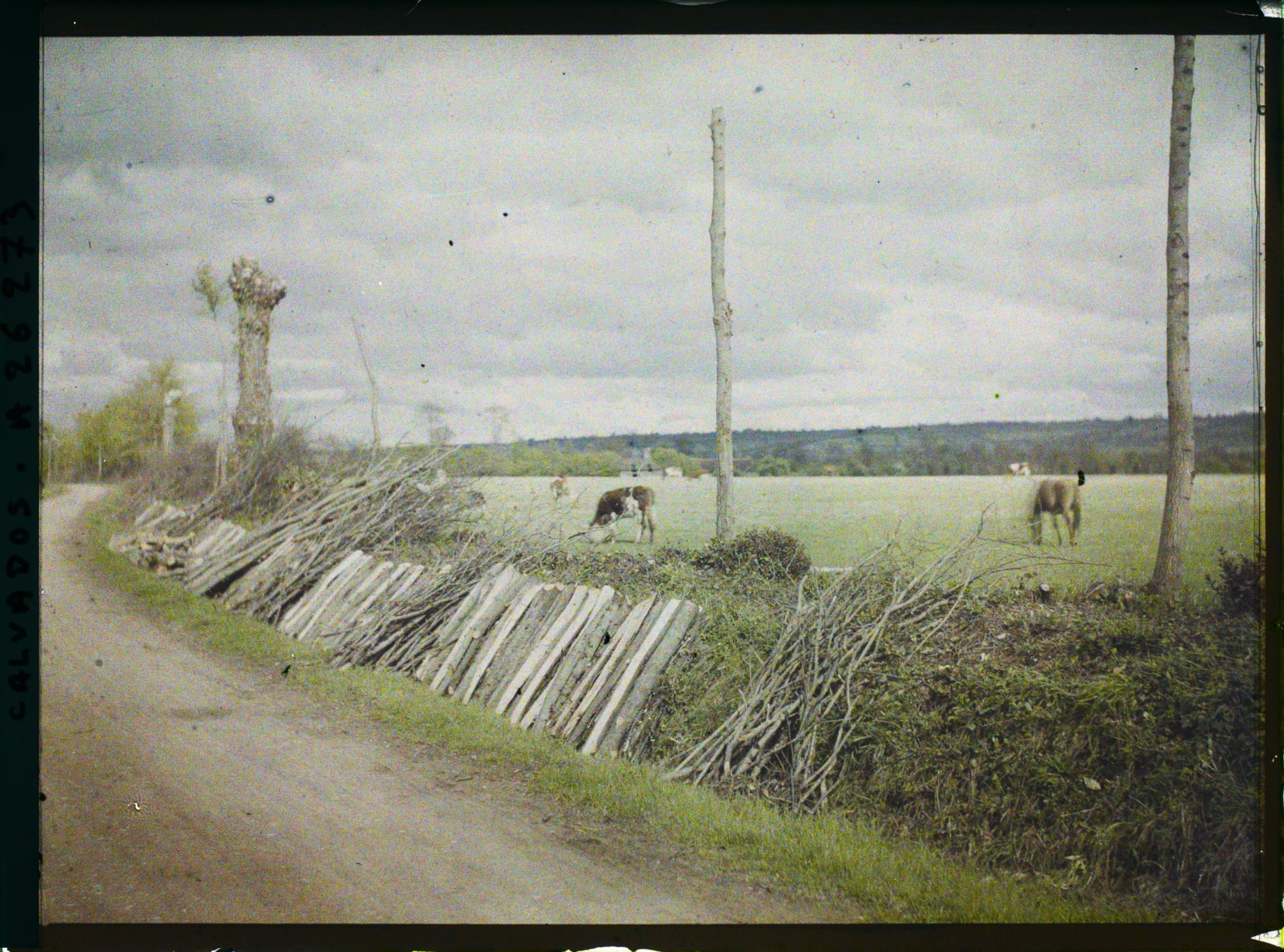 Image représentant La route de Hotot-en-Auge à Beuvron-en-Auge