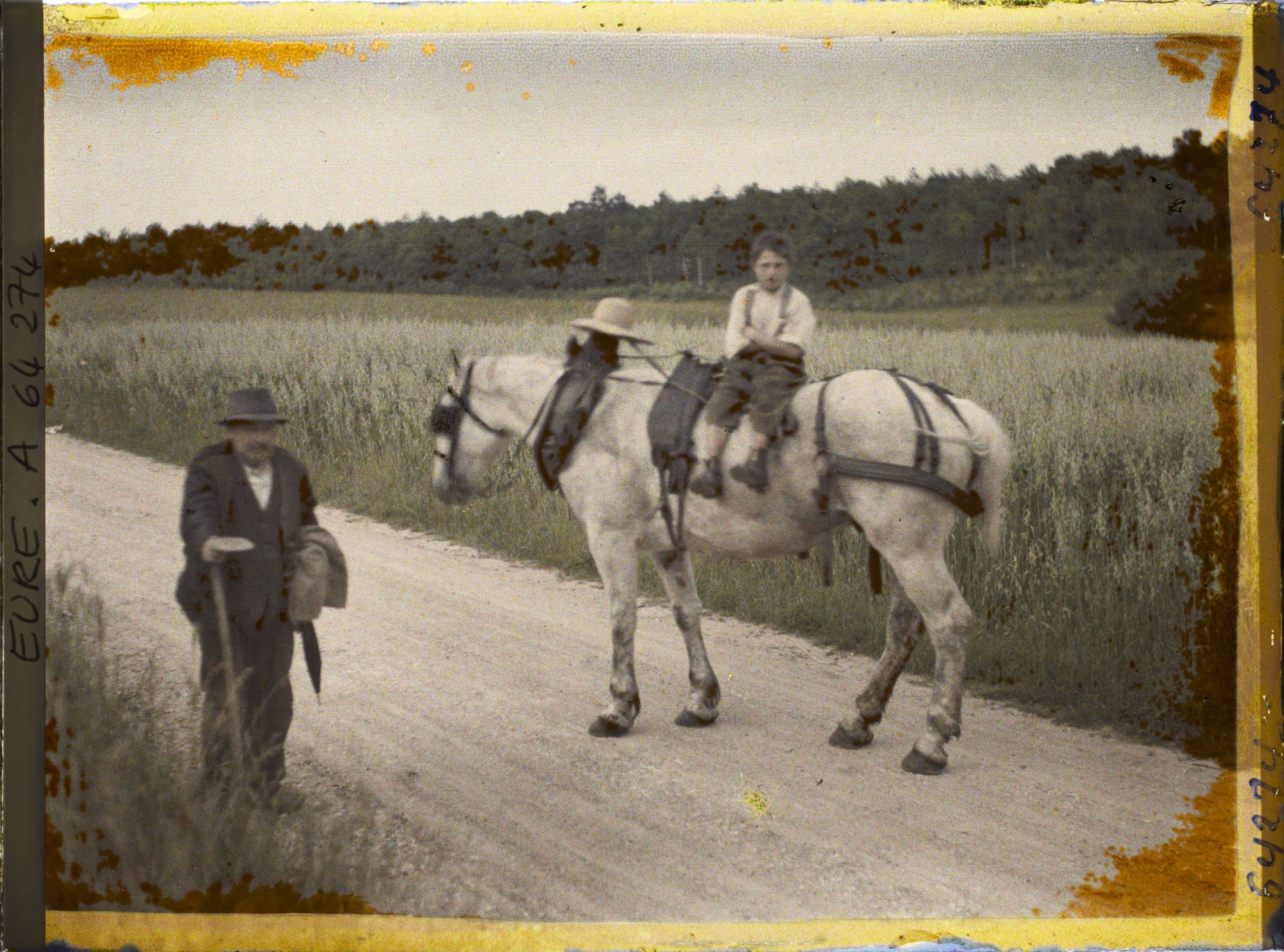 Image représentant Le retour des champs