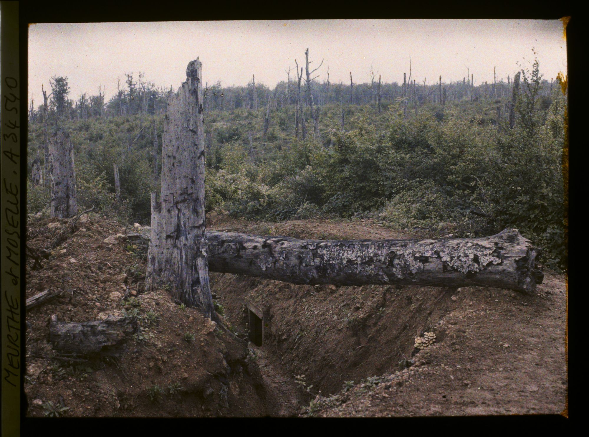 Image représentant France, Bois le Prêtre, Tranchée Française de 1ère ligne
