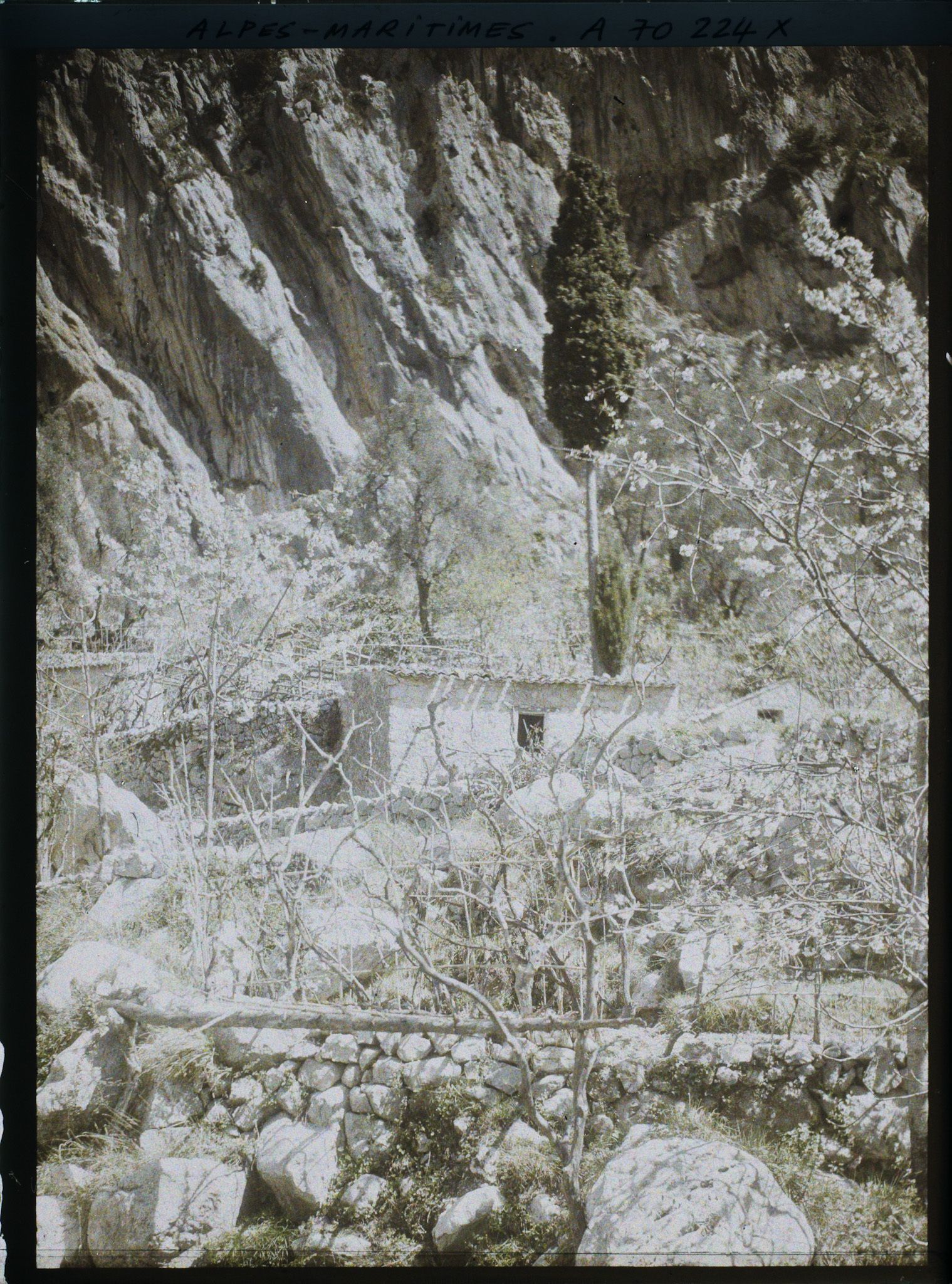 Image représentant Espace cultivé au pied du rocher Sainte-Agnès ?
