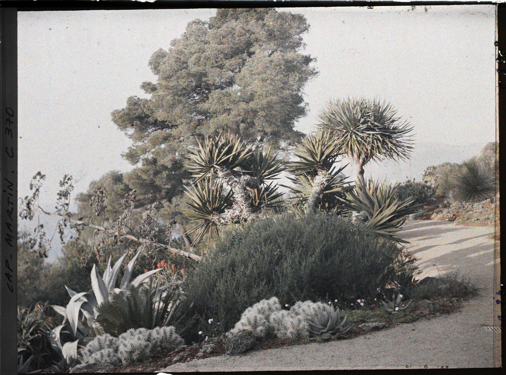 Image représentant Une allée du jardin