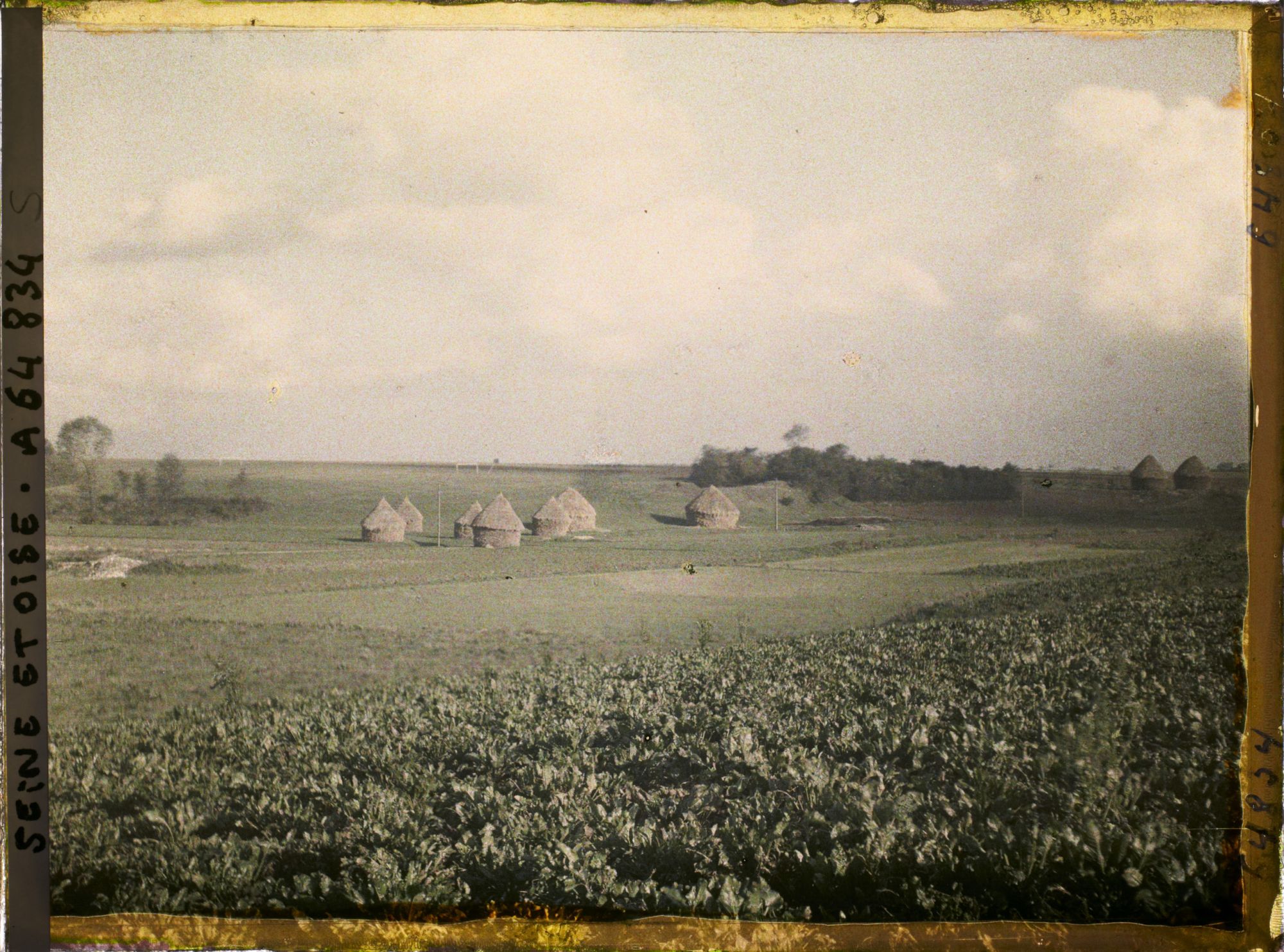 Image représentant Seine et Oise, Domont, Betteraves et meules de blé