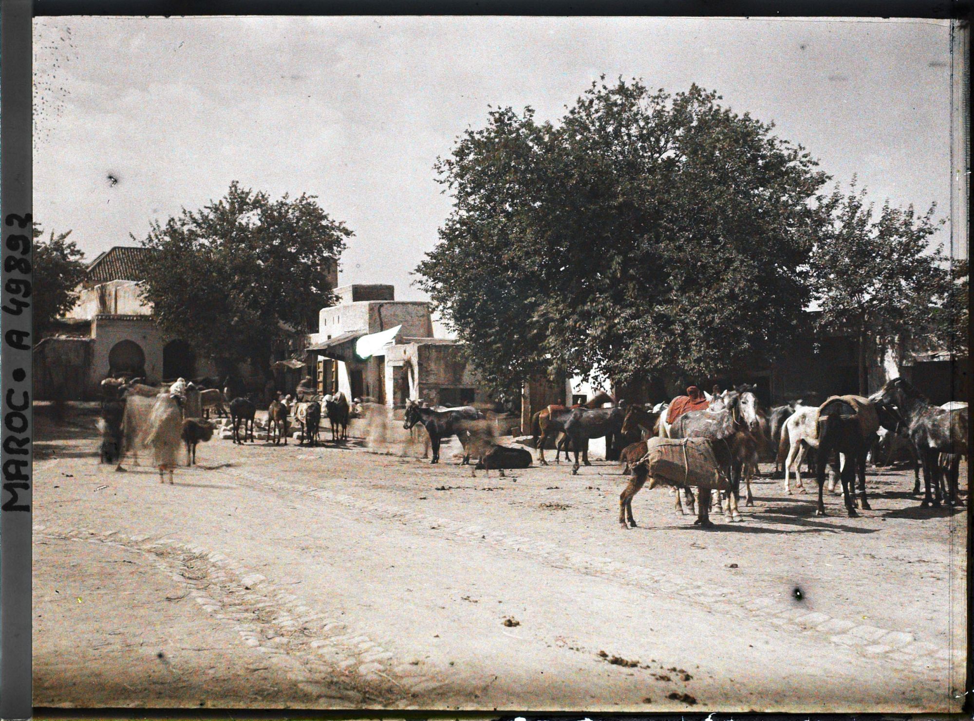 Image représentant Le souk du maréchal-ferrant