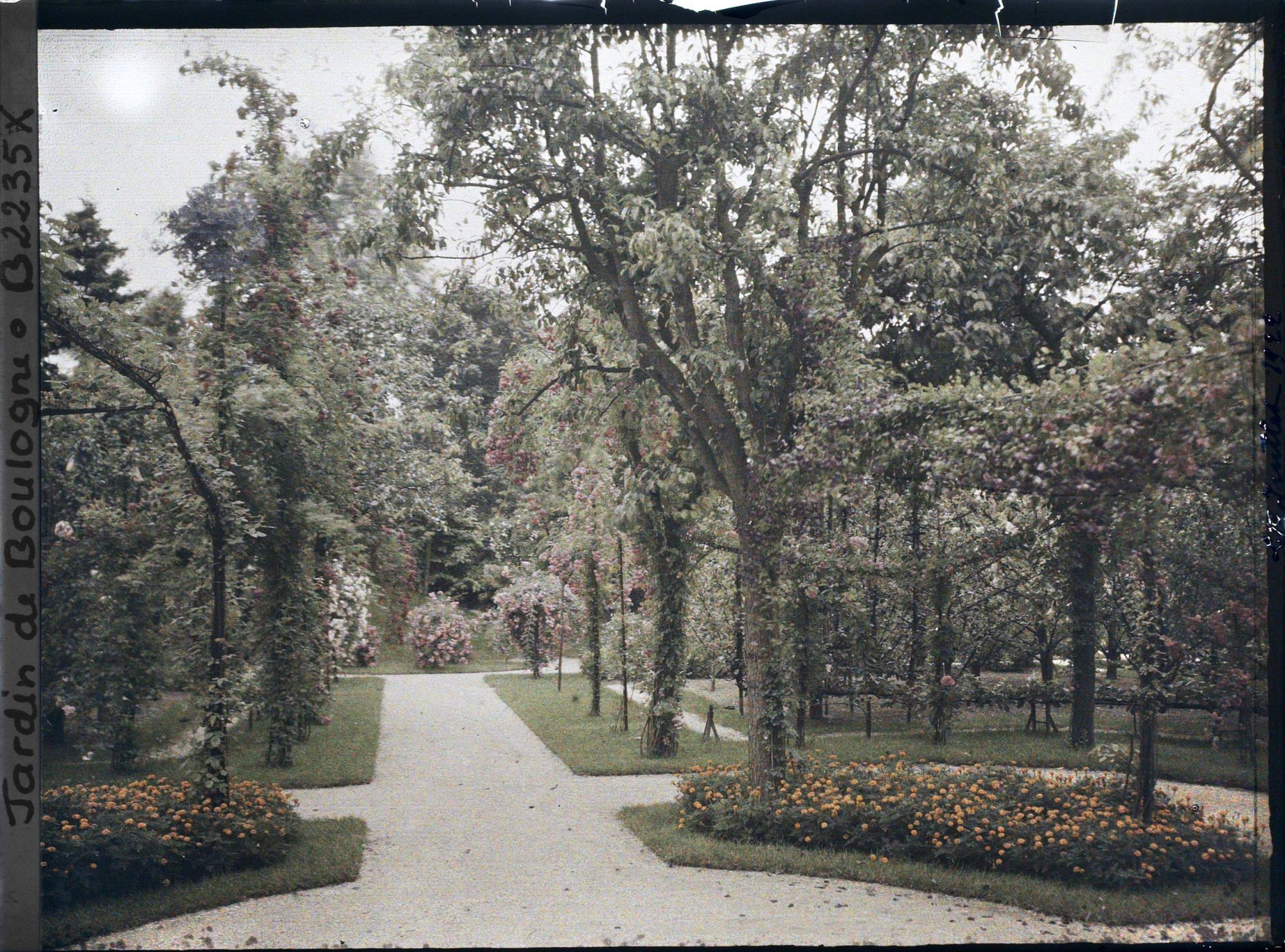 Image représentant Allée du verger-roseraie vue en direction du sud, depuis le rond-point proche du jardin français