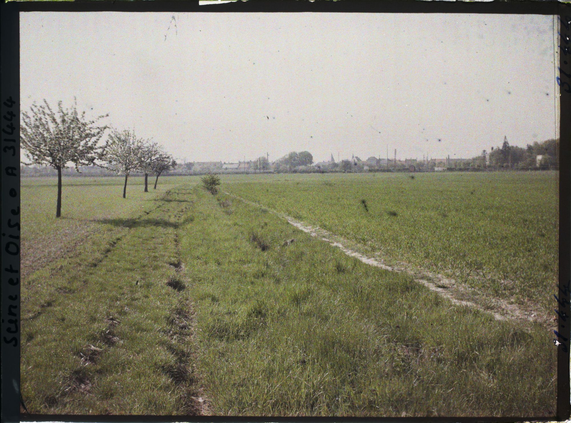 Image représentant France , Trappes (Seine et Oise), Un Champs de blé ; au fond, Trappes