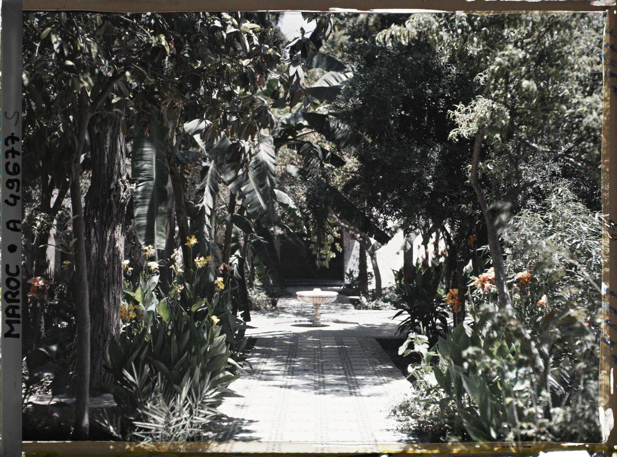 Image représentant Un riyâd (jardin intérieur), de style andalou, dans le palais de la Bahia