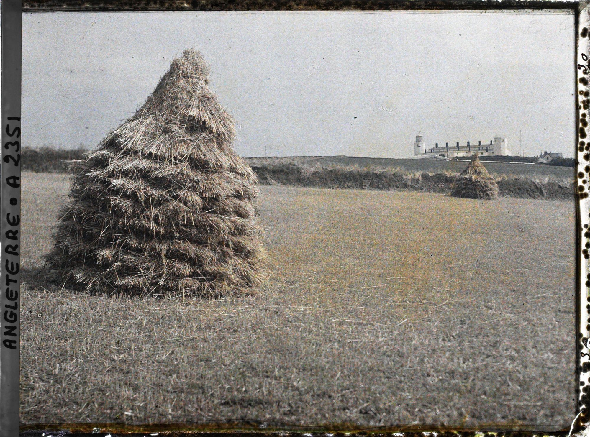 Image représentant Bottes de foin dans un champs