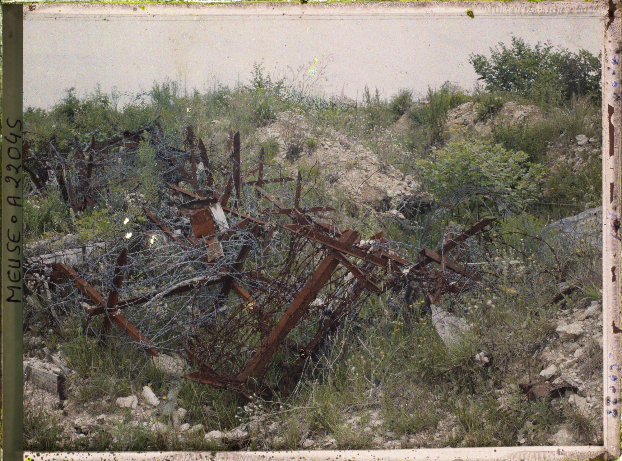 Image représentant France, Bois Brûlé, Terrain organisé à la Tête à Vache